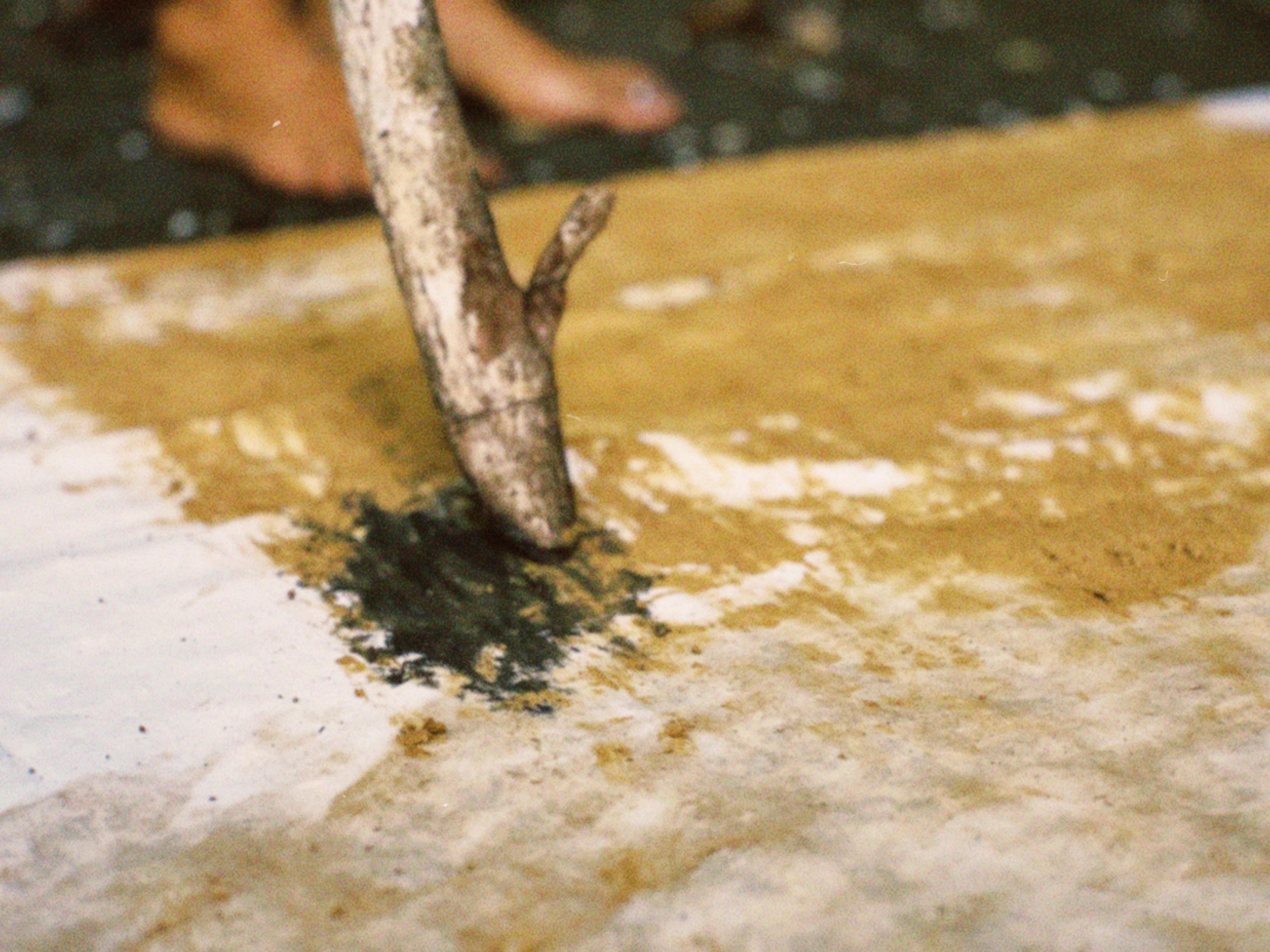 Gedämpfte Waldland-Studie: Weiche, abstrakte Landschaft in Erdtönen von Federica Furbelli im Angebot 6