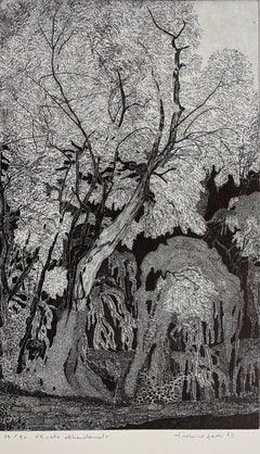 Abandoned Ulive wood, 1983, rif. 489, Etching Print by Federica Galli