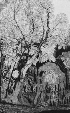 Abandoned Ulive, Holz, 1983, Abb. 489, Radierungsdruck von Federica Galli