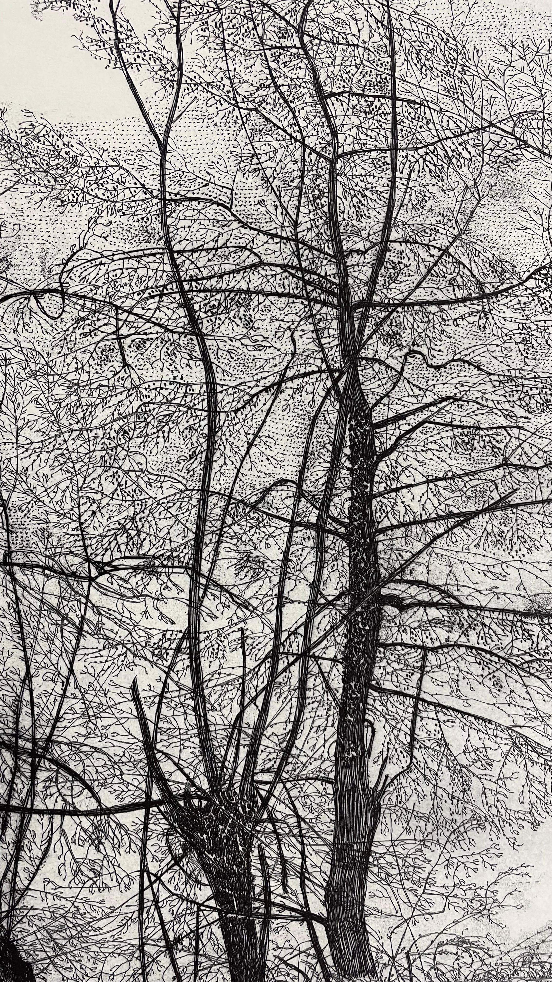 Etching of an autumnal scenery at the end of September  - Print by Federica Galli