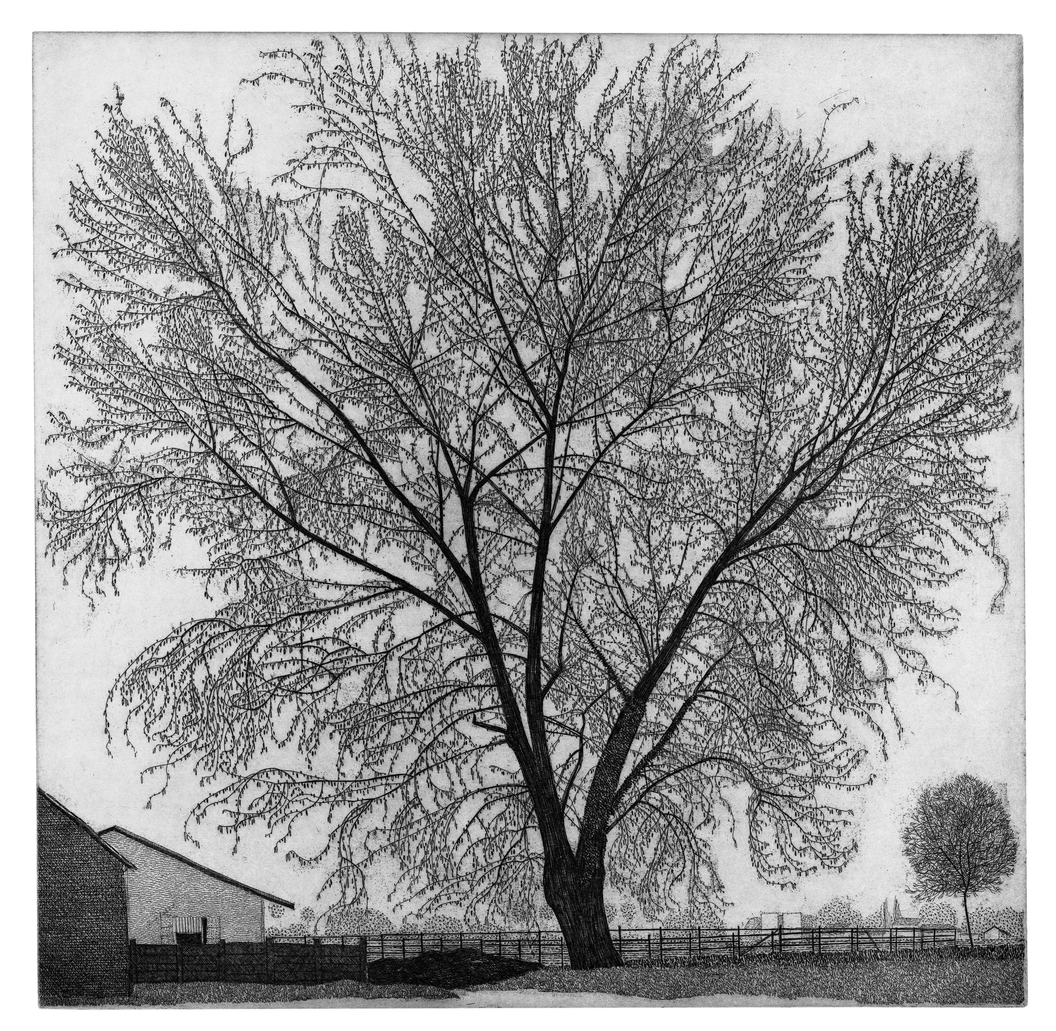 Gravure d'un paysage d'automne à la fin du mois de septembre - Print de Federica Galli