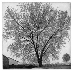 Federica Galli's Diptych