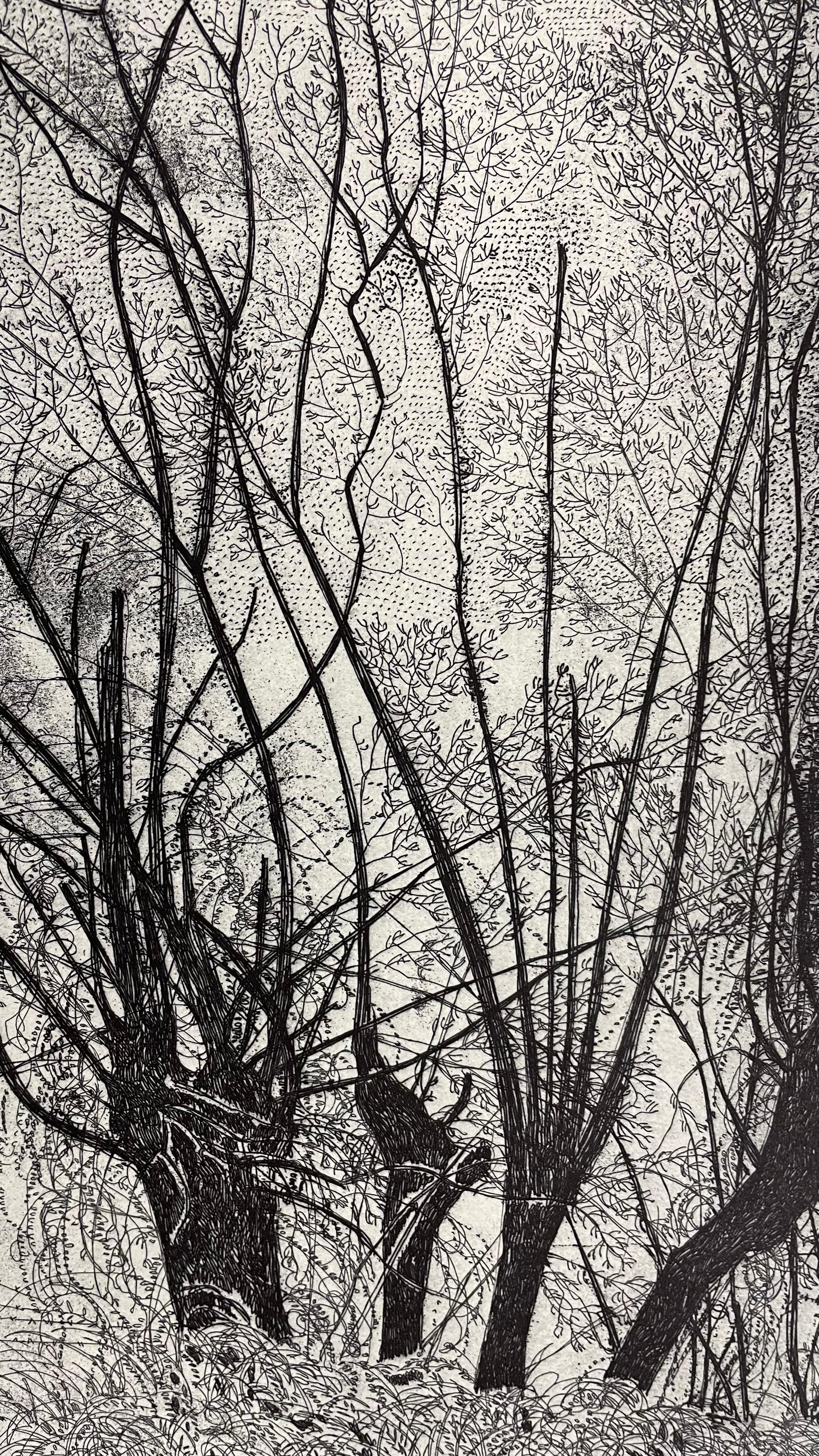 Grabado de un paisaje otoñal a finales de septiembre - Landscape Print Gris de Federica Galli