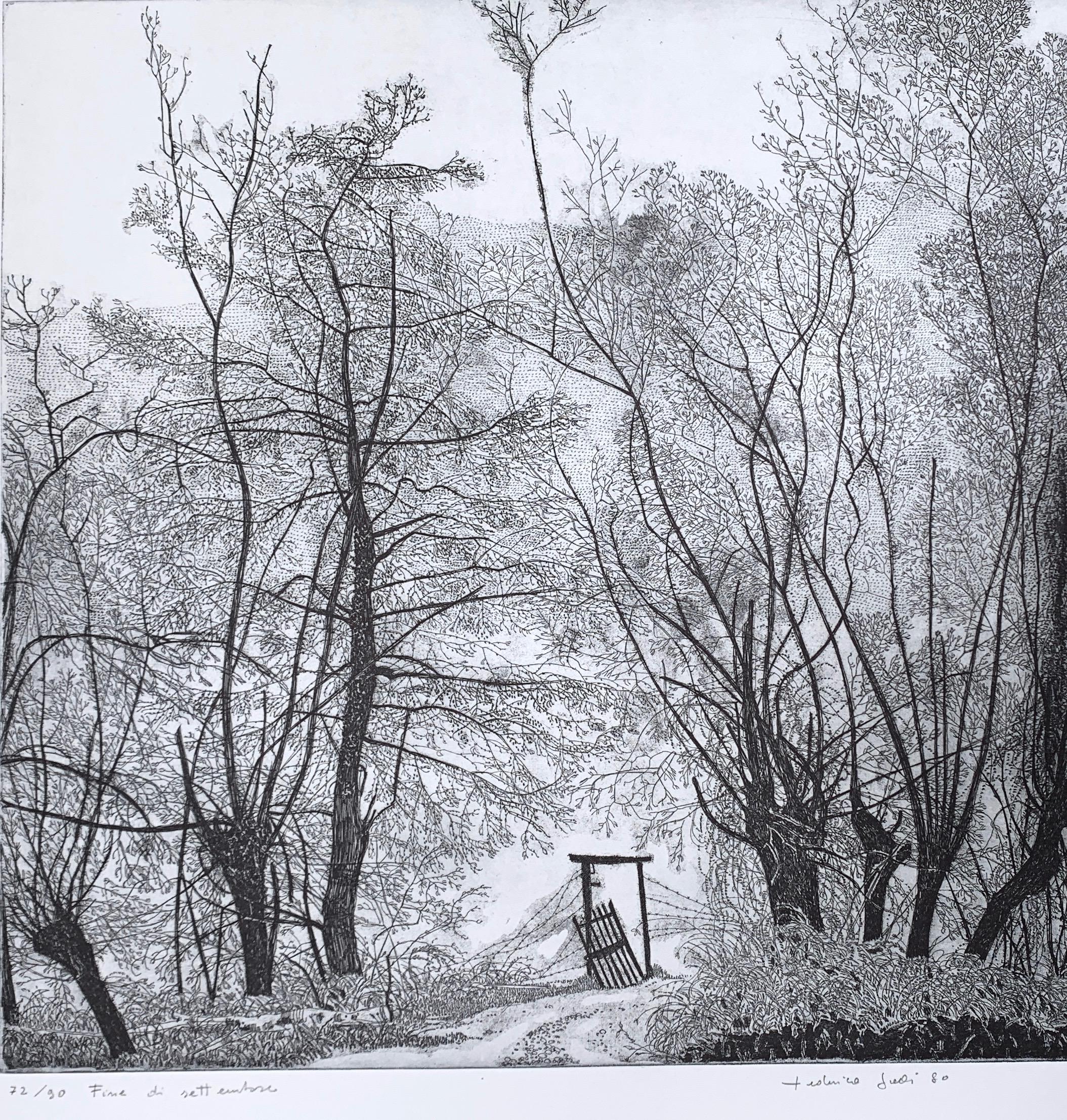 Federica Galli Landscape Print - Etching of an autumnal scenery at the end of September 