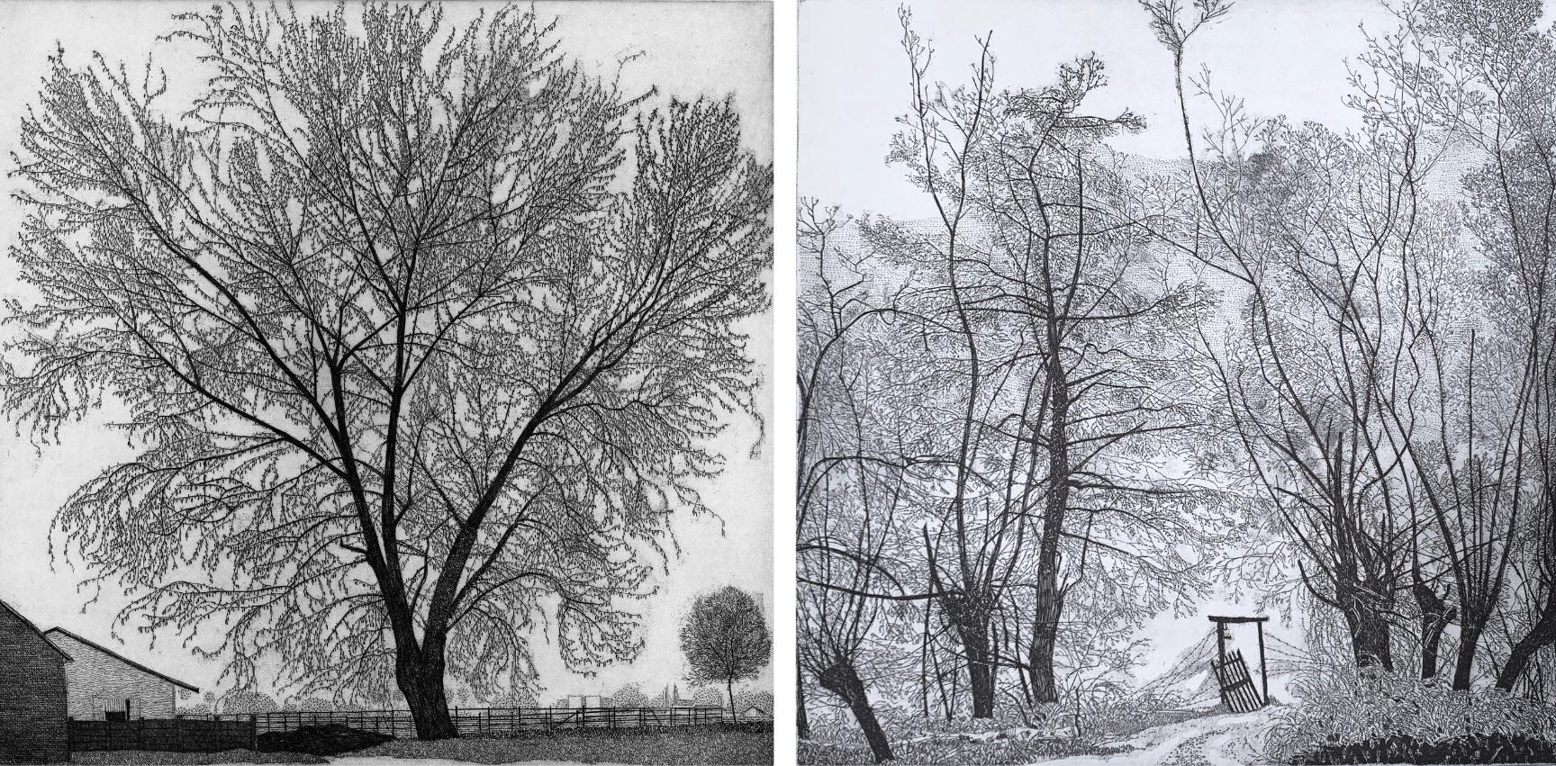 Landscape Print Federica Galli - Gravure d
un paysage d
automne à la fin du mois de septembre