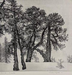 I Cembri, 1983, rif. 472, Etching Print by Federica Galli