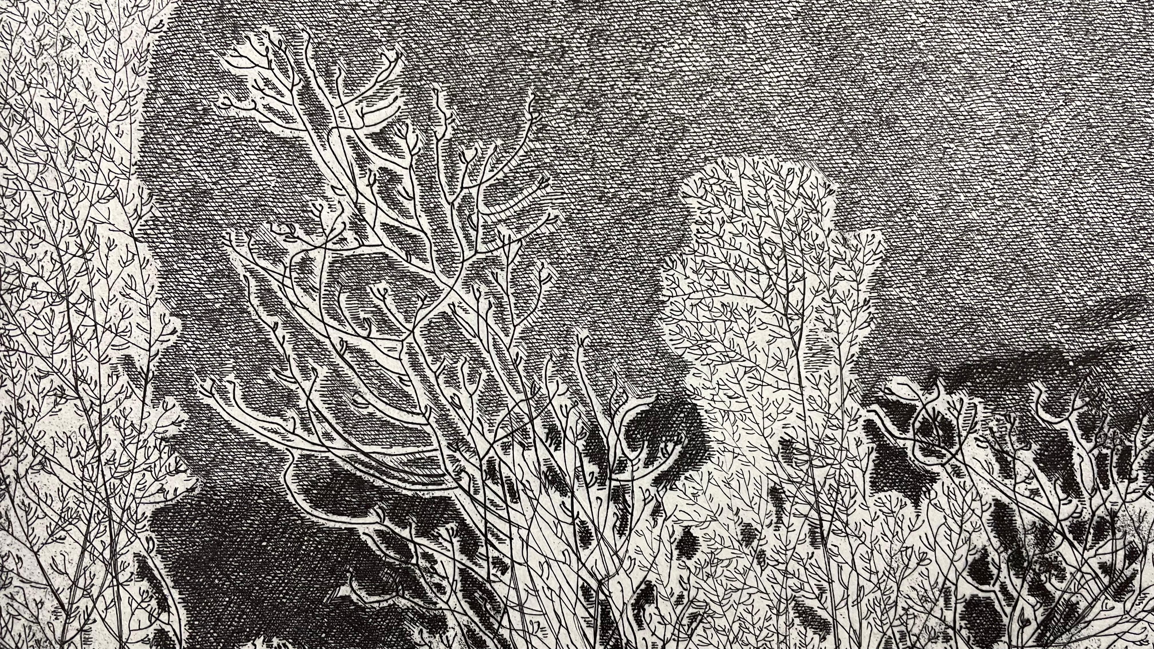 Grabado realizado por la Dama del Árbol Federica Galli - Blanco y negro en venta 3