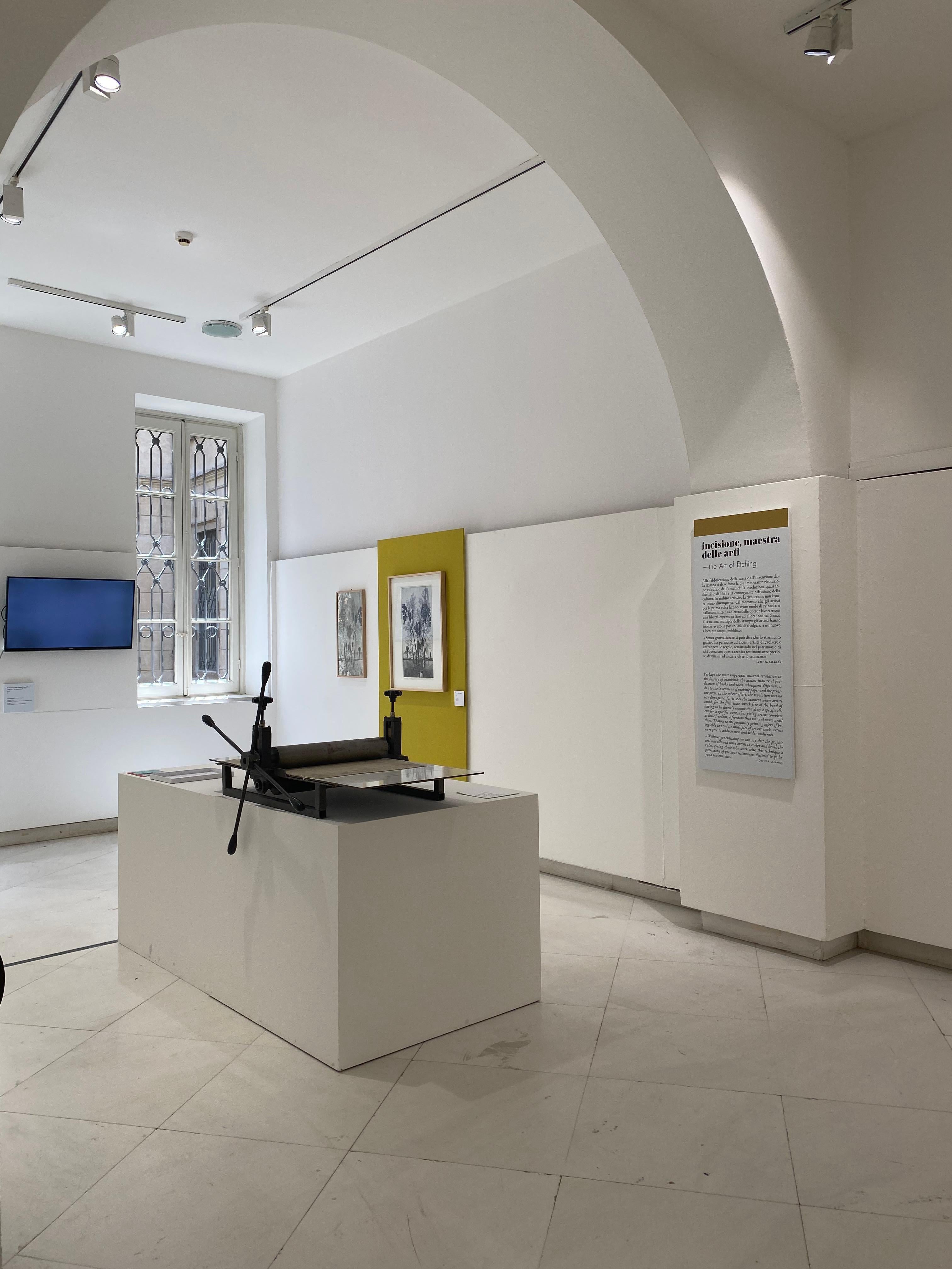 Chêne feuilleté, 1982, réf. 444, estampe à l'eau-forte de Federica Galli en vente 3