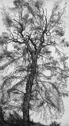 Leafed Oak, 1982, rif. 444, Etching Print by Federica Galli