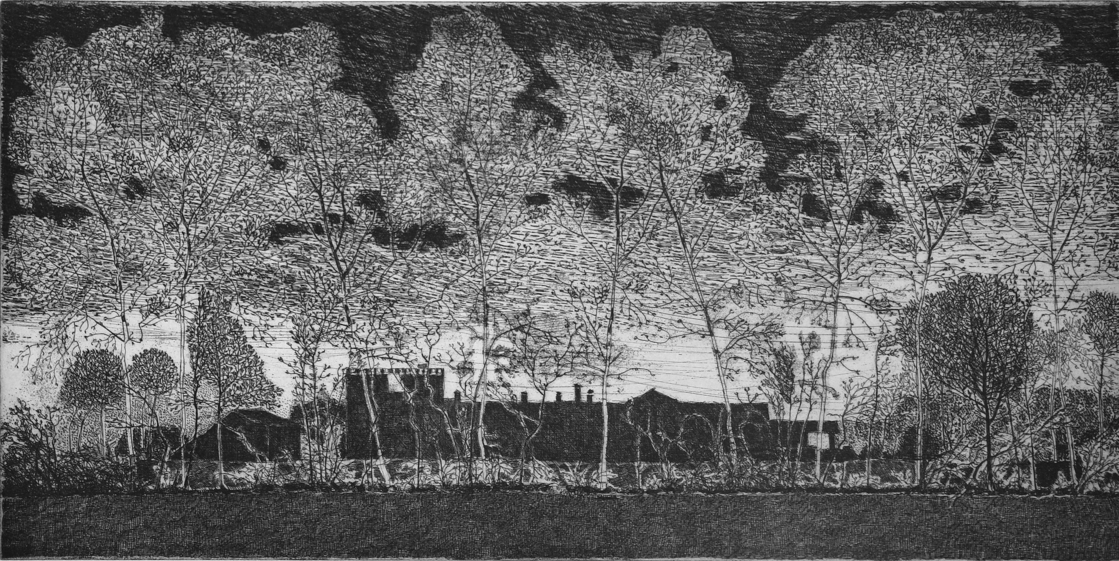 Federica Galli Landscape Print - Black and white Italian countryside etching made by the leader of print in Italy