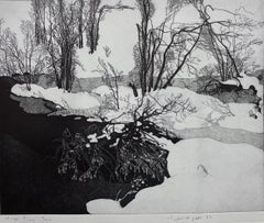 Snowed river, 1982, rif. 425, Etching Print by Federica Galli