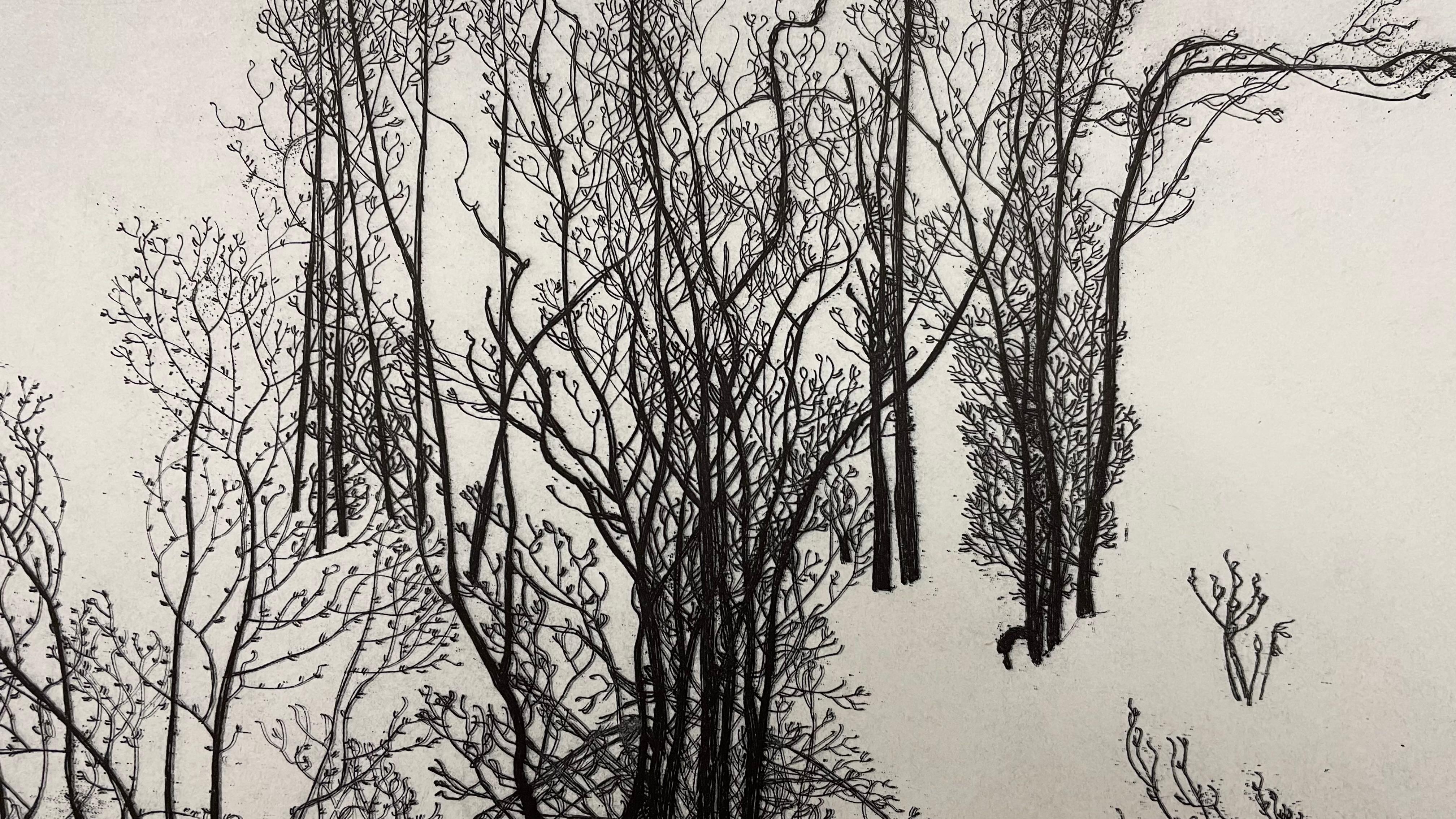 Snowed river, 1982, rif. 425, Etching Print by Federica Galli For Sale 4