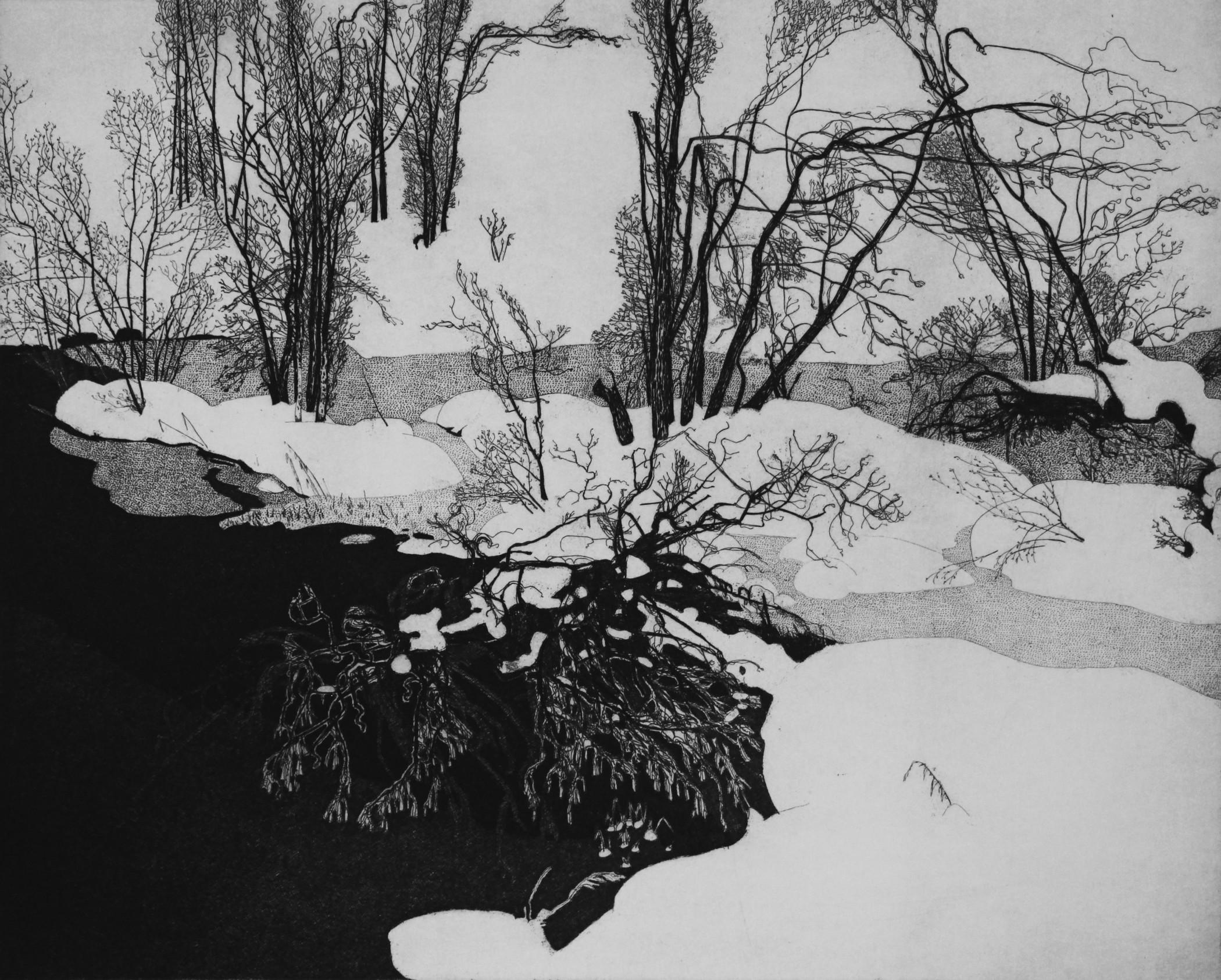 Snowed river, 1982, rif. 425

Etching inches 15.5 x 19.2 (mm 395 x 490). Contemporary Art

Etcher. A prominent figure of the art of engraving in Italy, Federica Galli was born in 1932 in Soresina – a village just outside Cremona. Straight after the