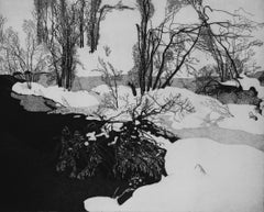 Schneeflockener Fluss, 1982, Ref. 425, Radierungsdruck von Federica Galli