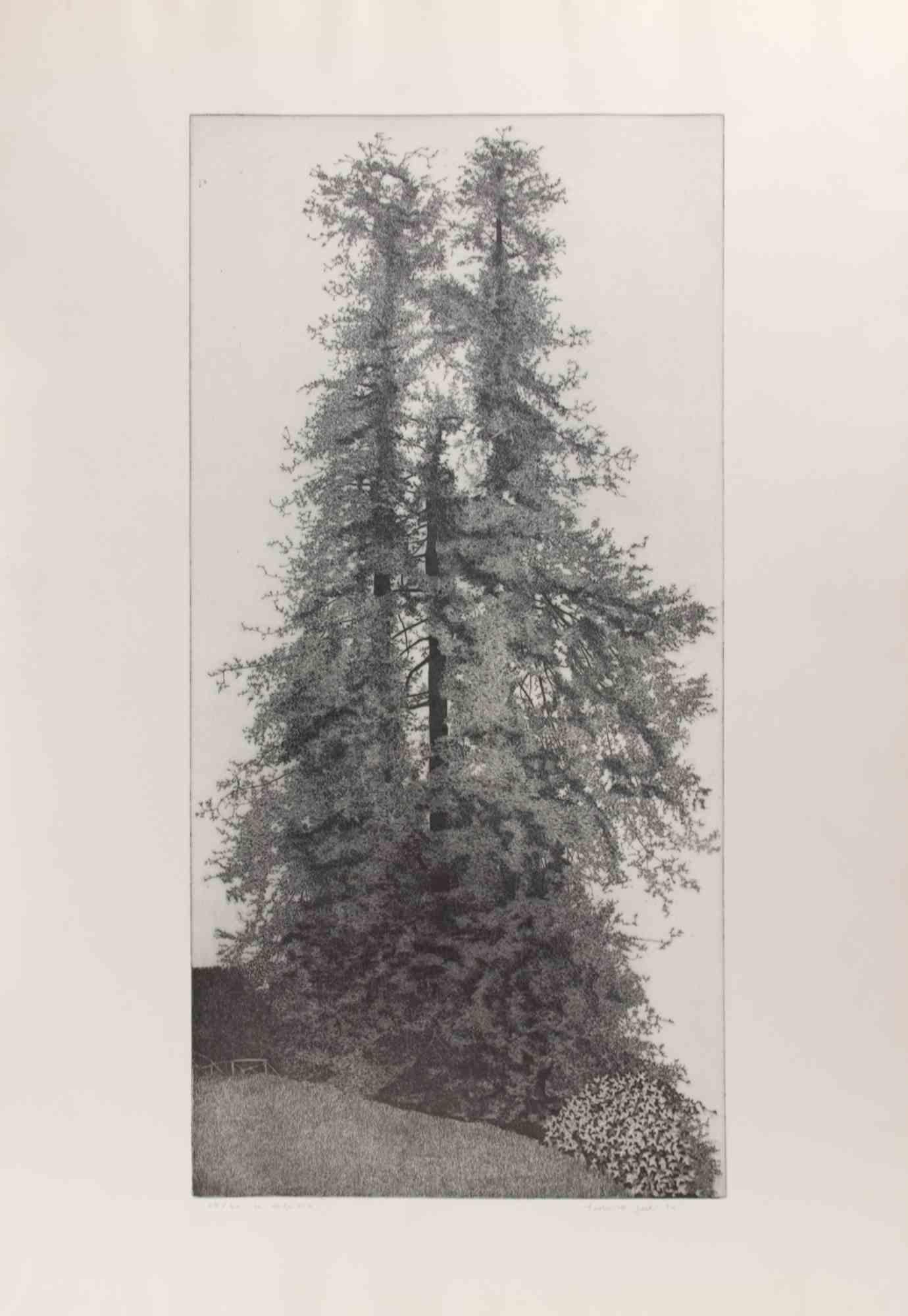 The Sequoias of Burcina Park - Etching by Federica Galli - 1960s
