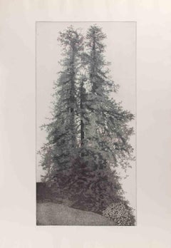 The Sequoias of Burcina Park - Etching by Federica Galli - 1960s