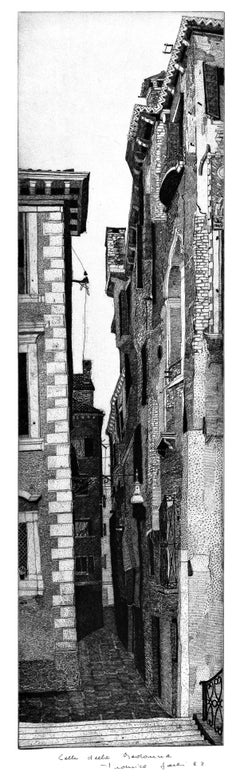 Typical venice architecture landscape  by master italian etcher