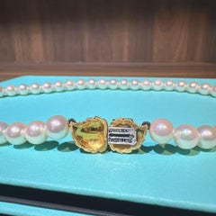 Federico Buccellati 18K Gold Top-Grade Akoya Pearl Necklace