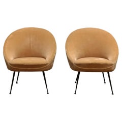 Federico Munari Pair of Sand-colored Velvet Armchairs, Italy 1950s