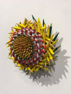 Pencil Flower: Yellow
