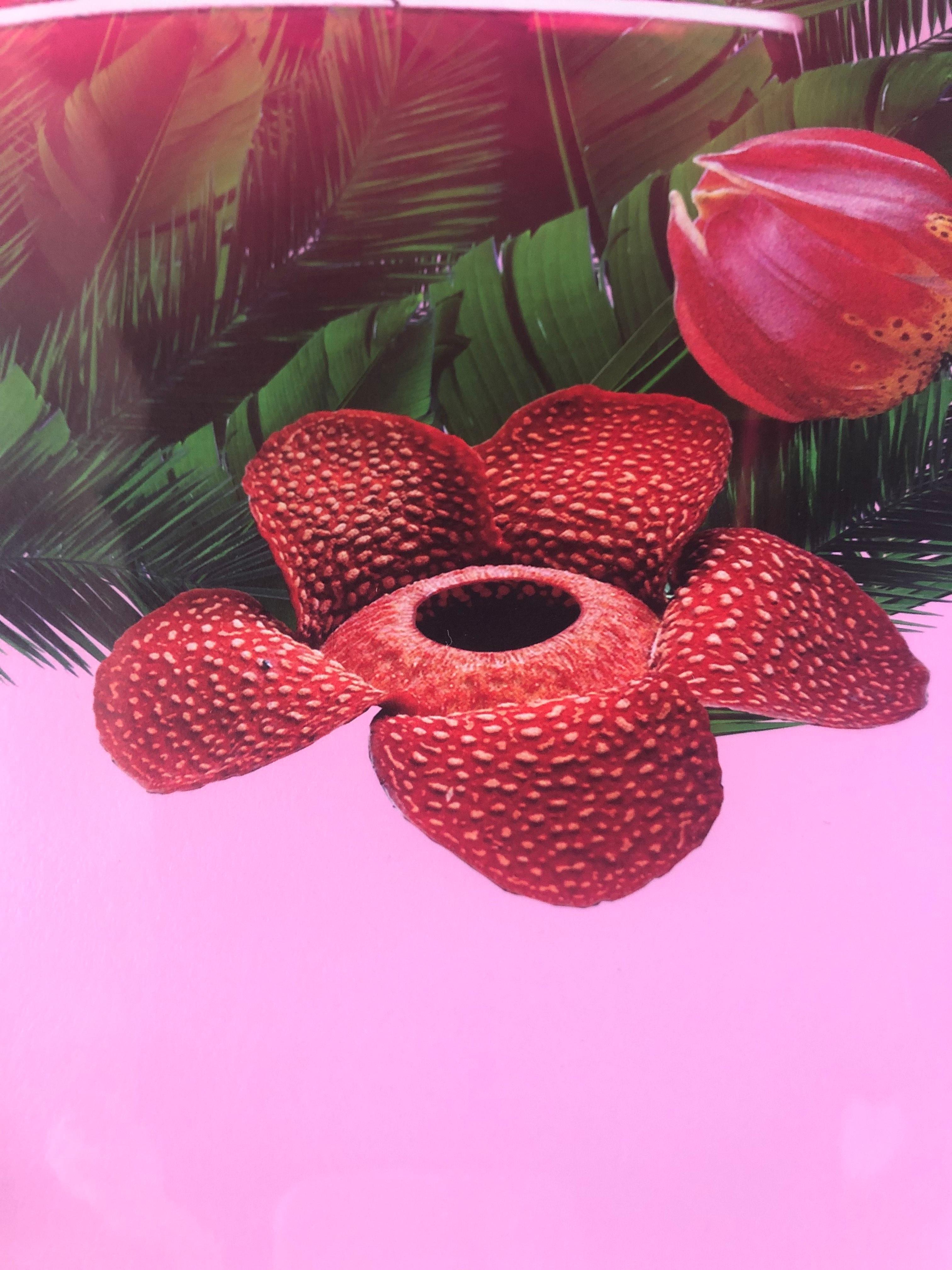 No Bad Days, Limited edition print, Pop Art, Neon Lights - Contemporary Print by Fei Alexeli