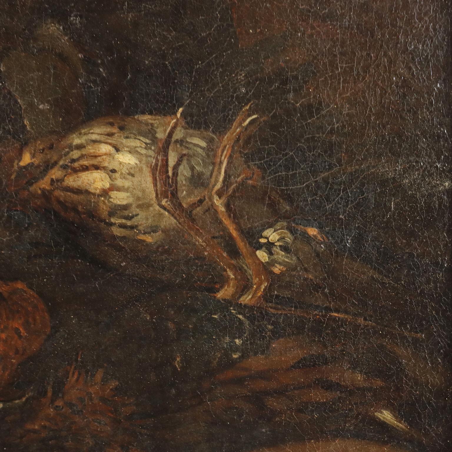 Natura morta con Cacciagione XVII-XVIII secolo 4