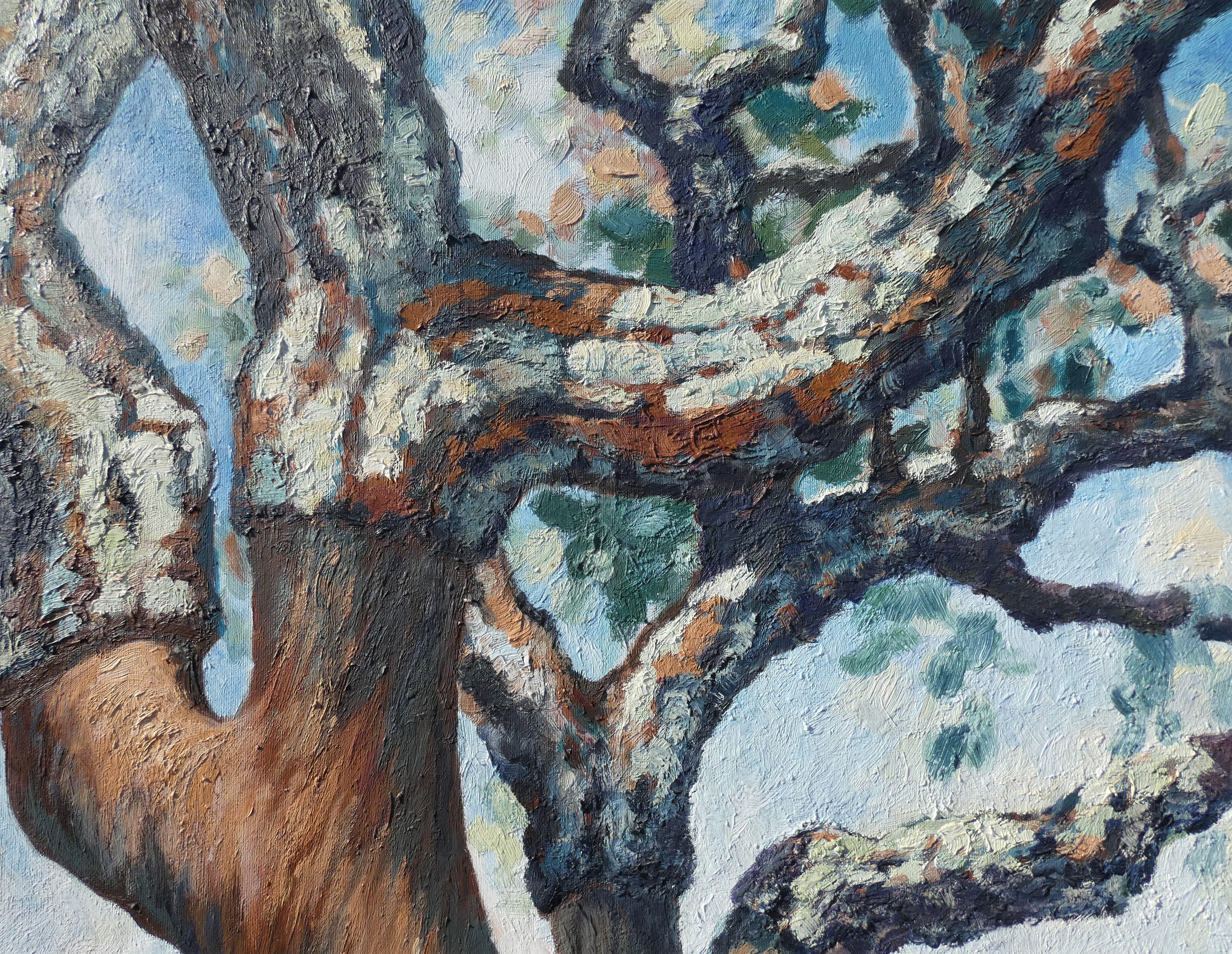 Corktree II, Pittura, Olio su tela - Painting Impressionismo di Felicia Trales