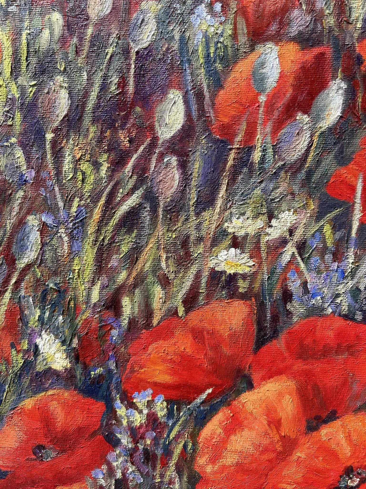 Wild Red Poppis, Painting, Oil on Canvas For Sale 2