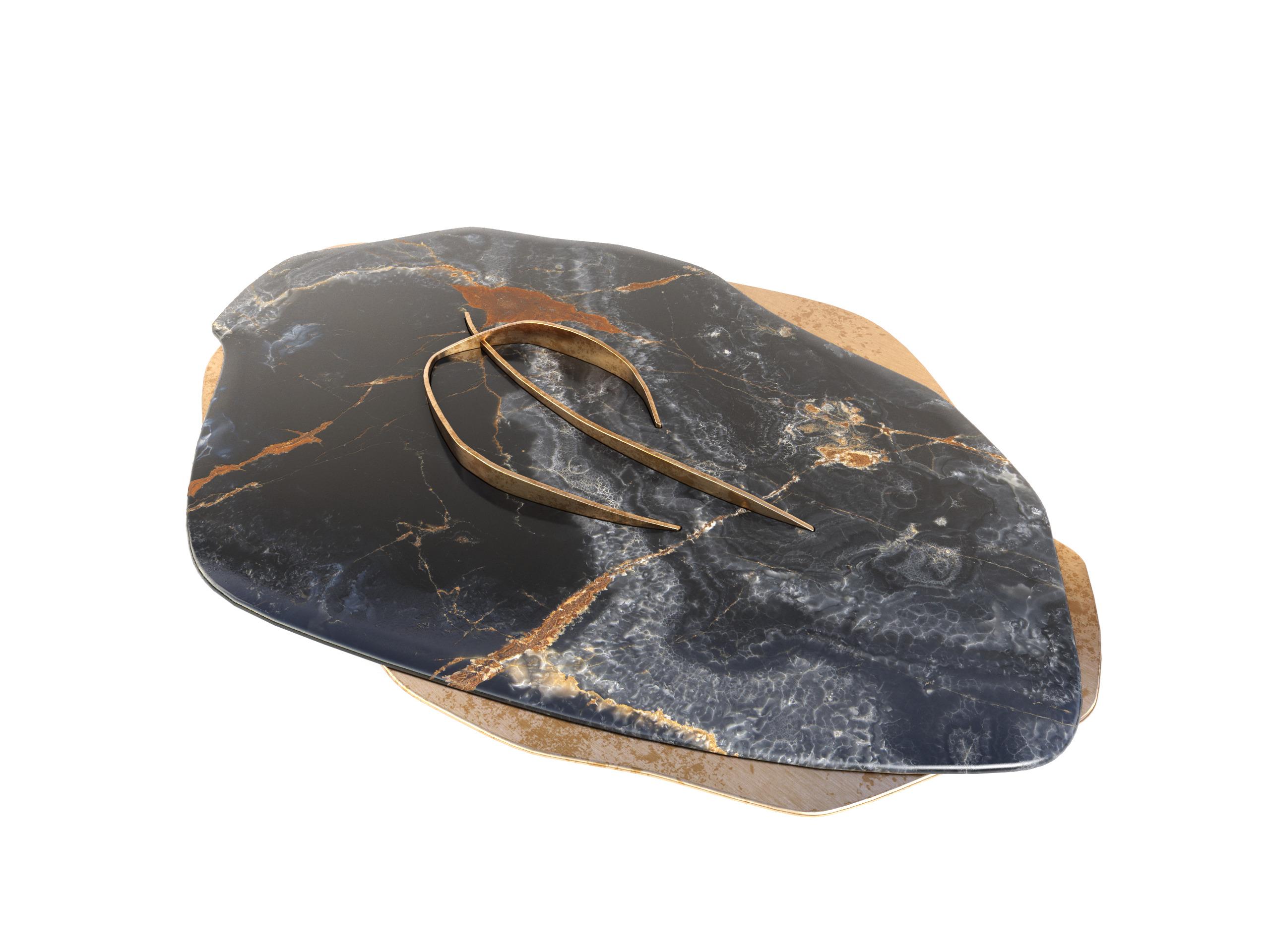 Feline VII Black Onyx and Solid Brass Unique Coffee Table by Grzegorz Majka en vente 1
