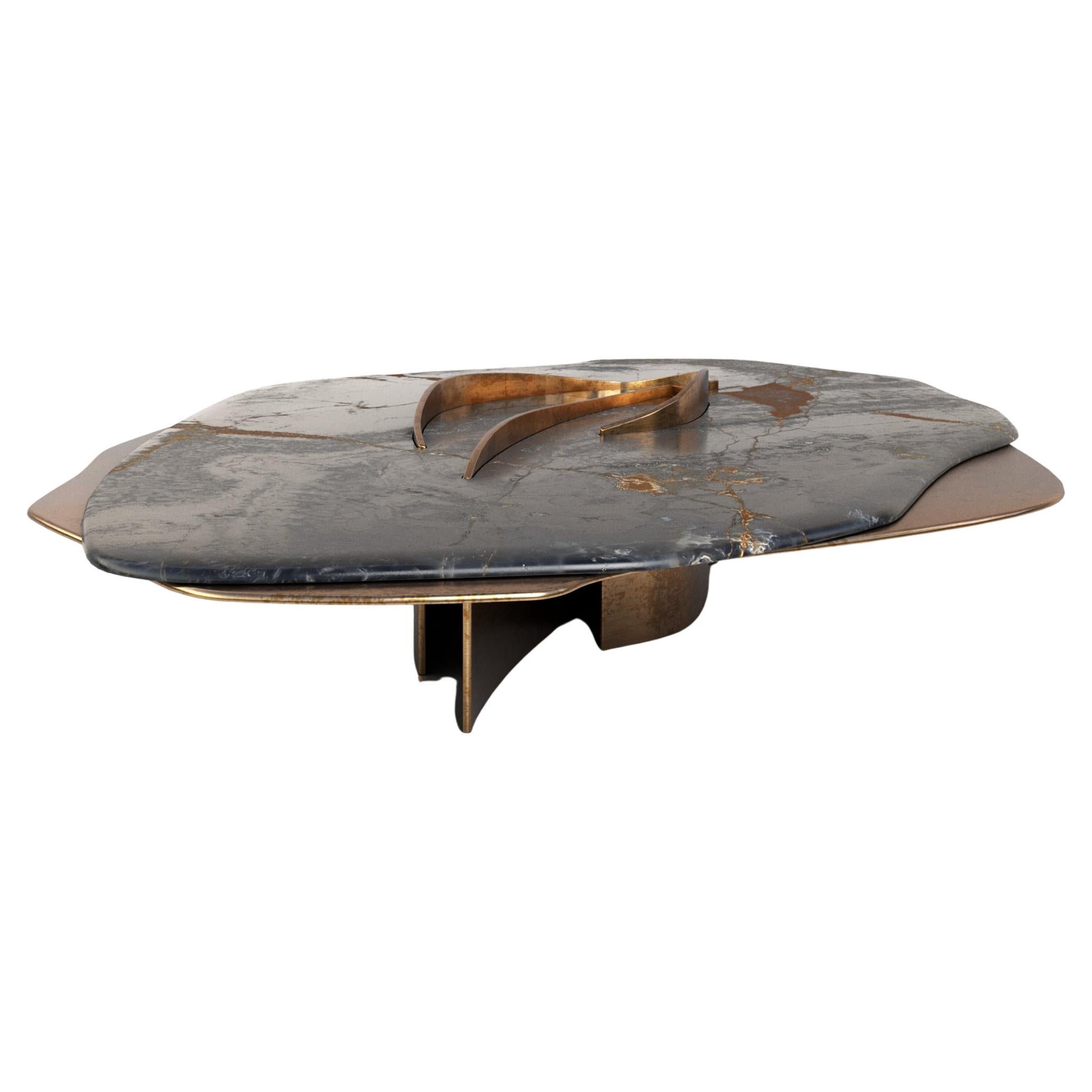 Feline VII Black Onyx and Solid Brass Unique Coffee Table by Grzegorz Majka