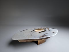 Feline X White Onyx And Solid Brass Unique Coffee Table by Grzegorz Majka