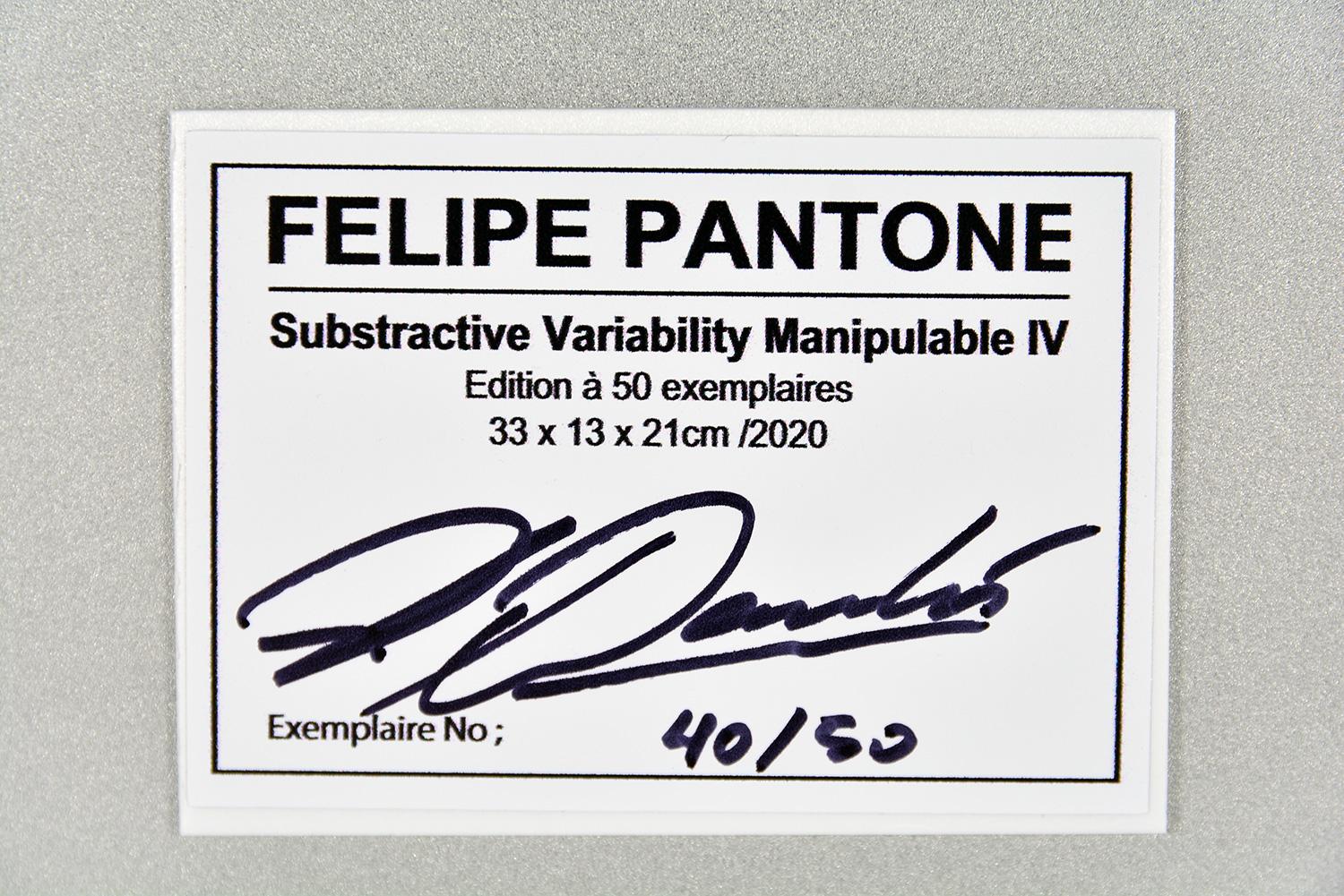 FelIPE PANTONE - MANIPULABLE VARIABILITÉ SUBTRACTIVE IV Sculpture Moderne Op Art en vente 4