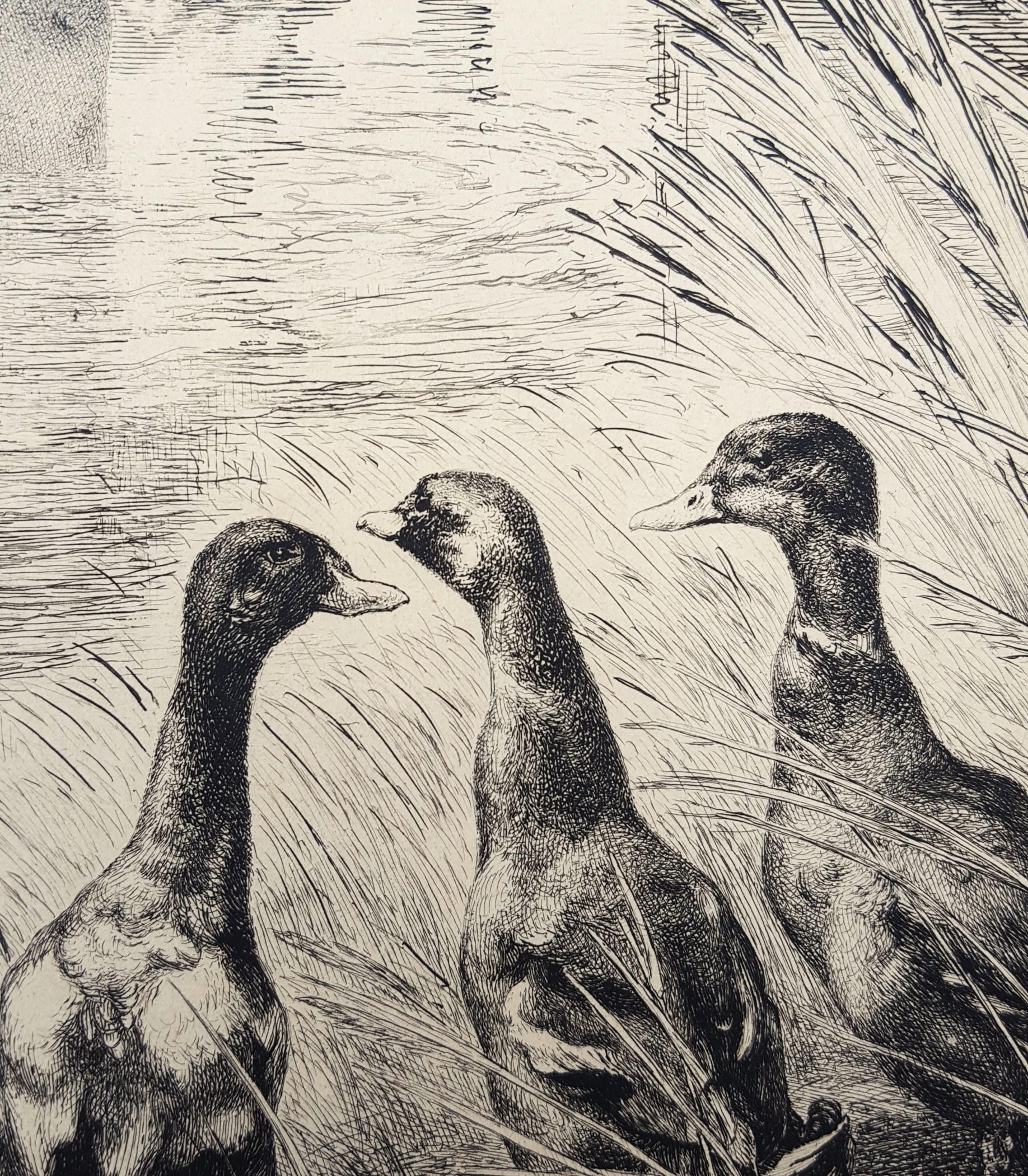 Canards Surpris (Surprised Ducks) /// Antique Impressionist Nude Animal Forest For Sale 10