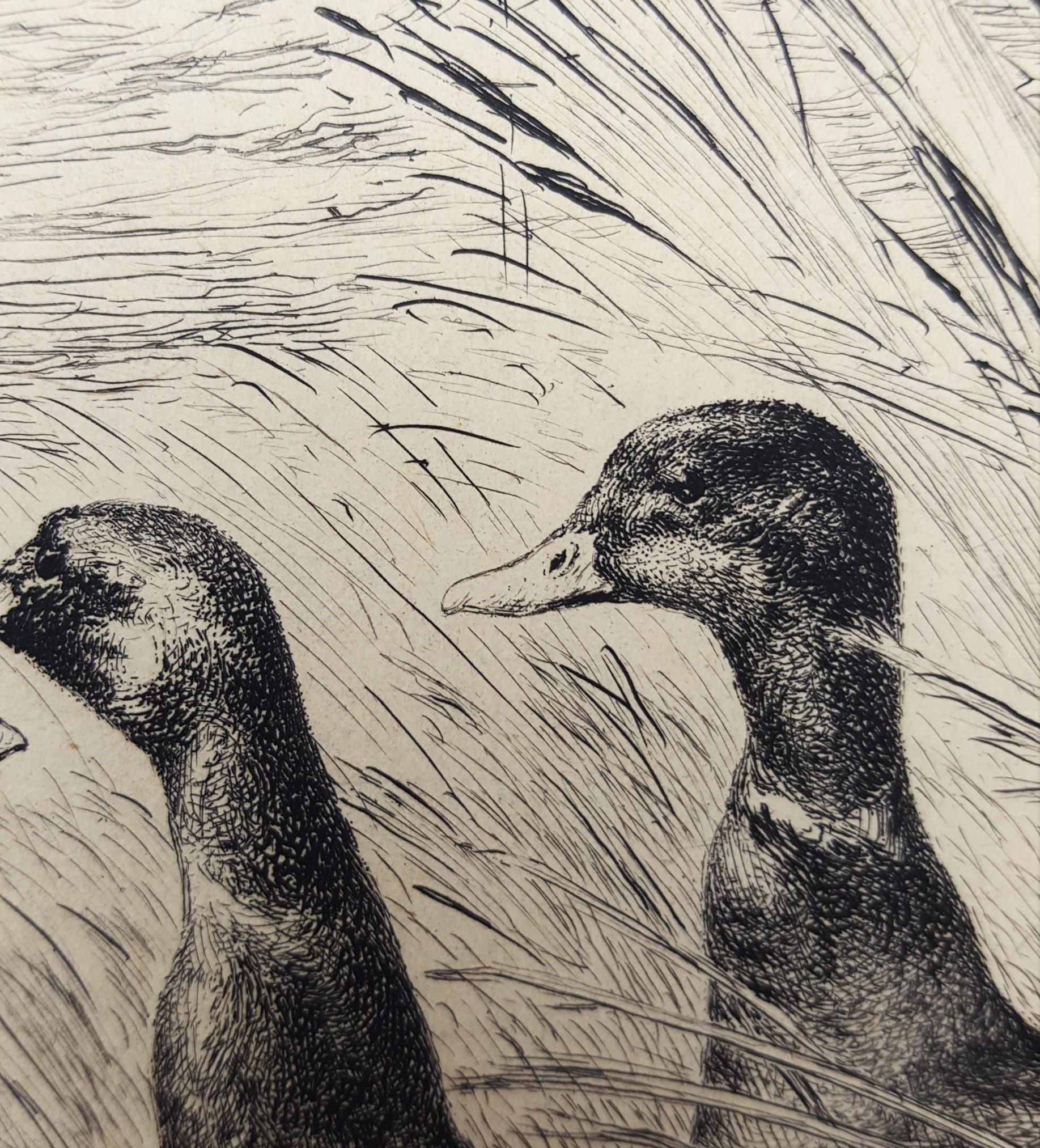 Canards Surpris (Surprised Ducks) /// Antique Impressionist Nude Animal Forest For Sale 11