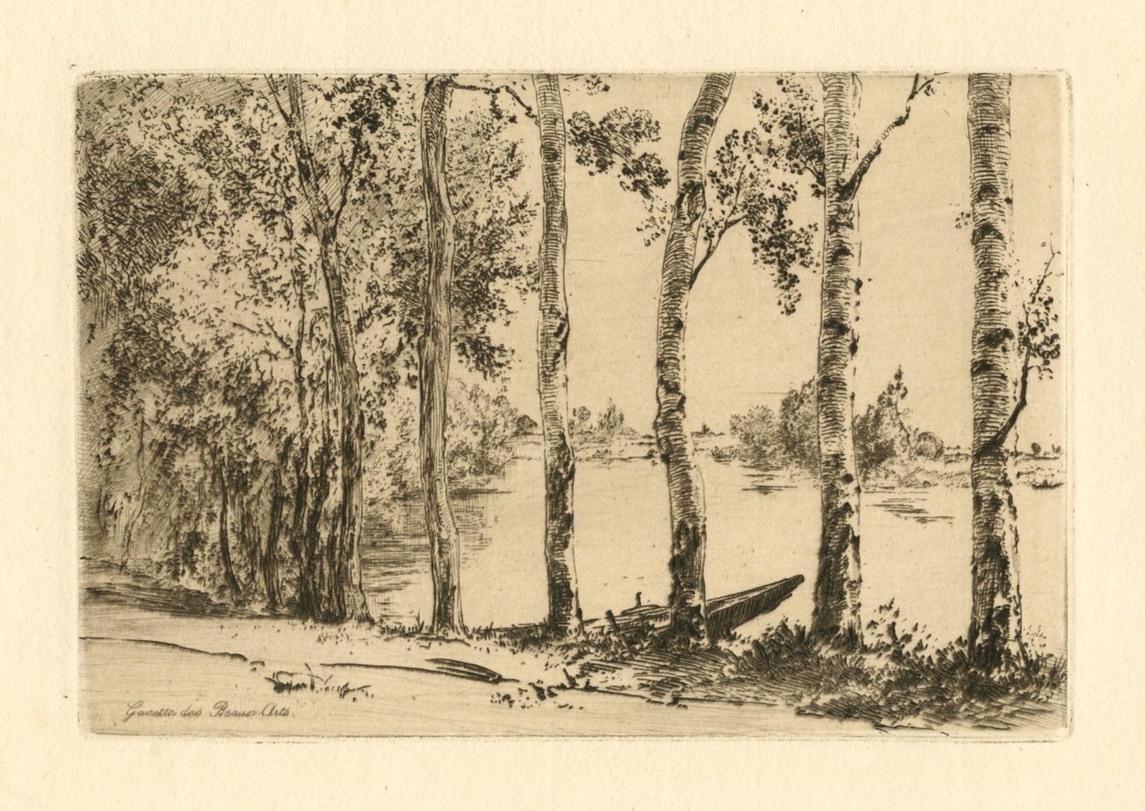 "Les Trembles" original etching - Print by Félix Bracquemond