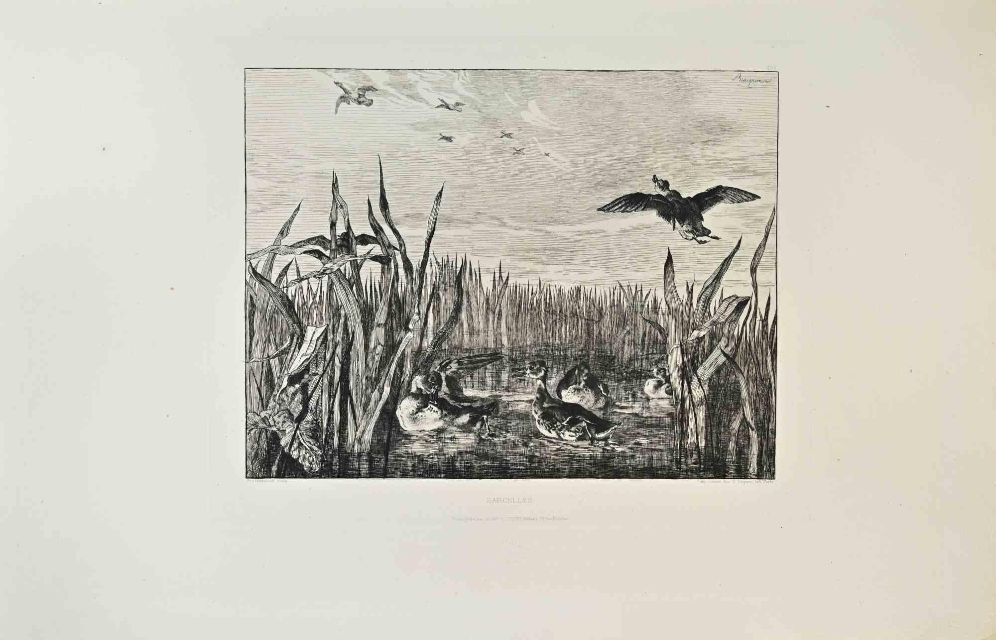 Sarcelles is a black and white etching realized by Félix Bracquemond (1833–1914) in 1870s.

Titled in the lower.

Image size: 29cmx22.5cm.

Very Good condition.

Signed in the late in the upper right.

Realized by Cadart for the "Société des
