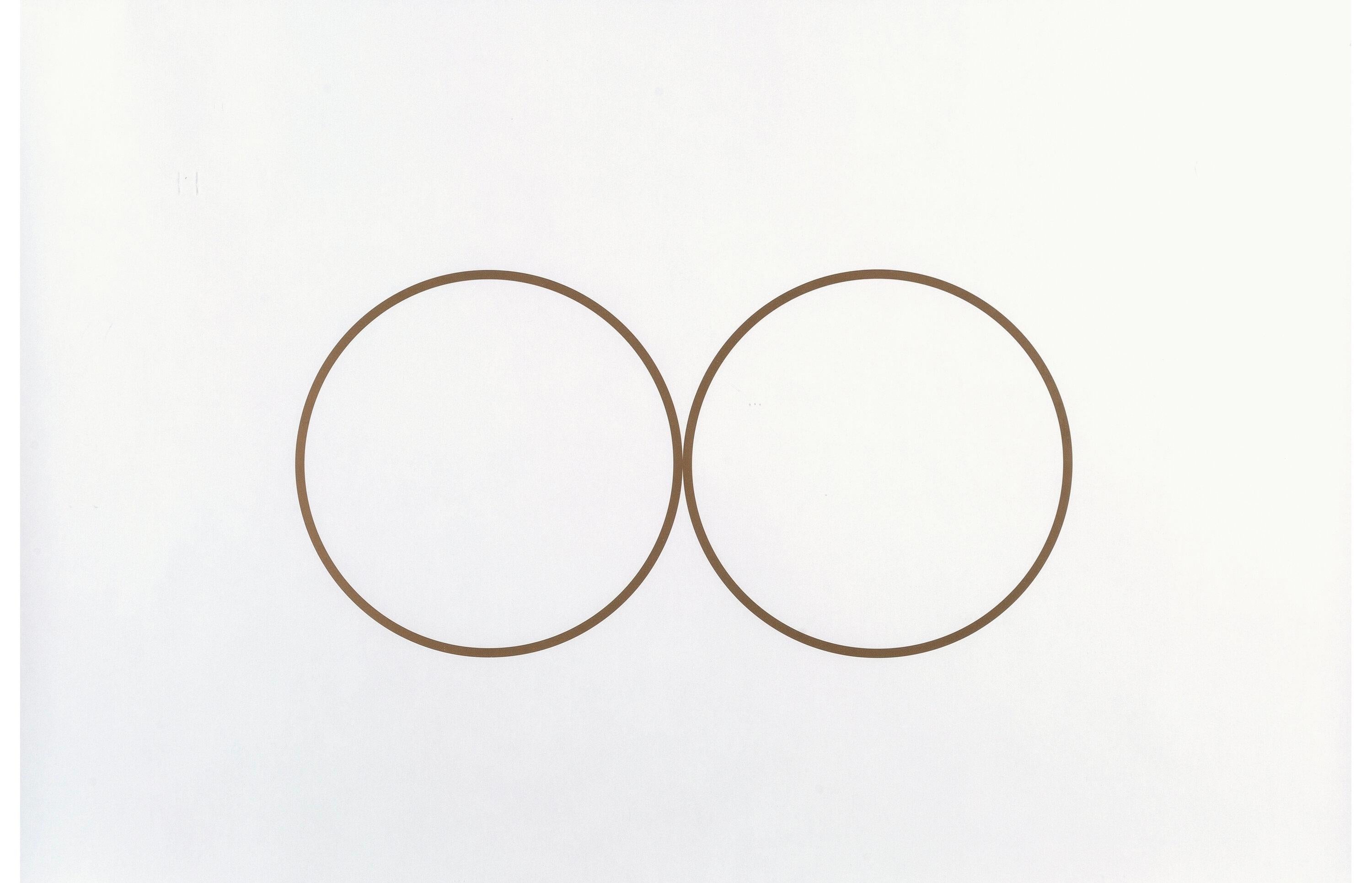 Felix González Torres Abstract Print - Double Portrait