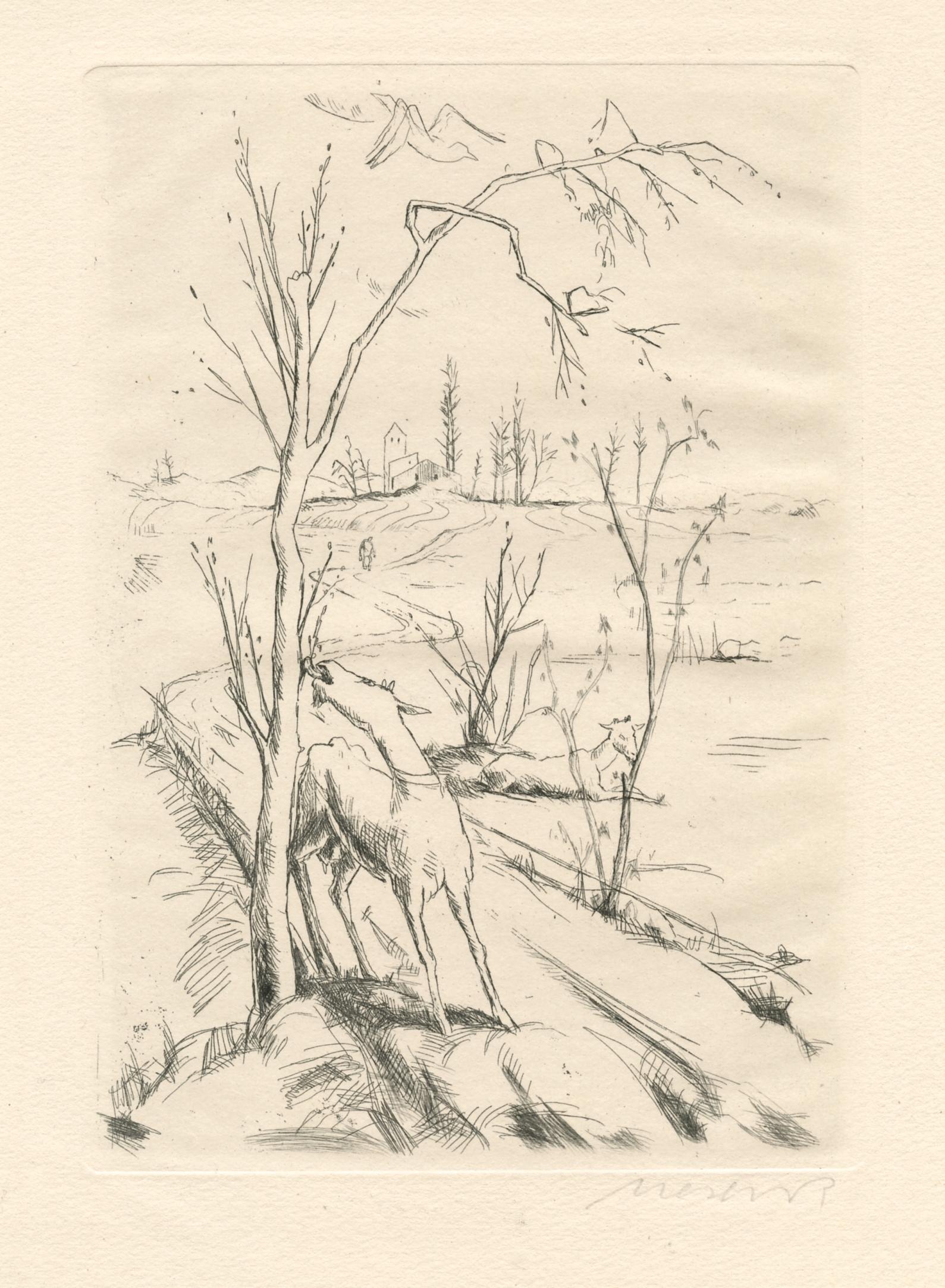 "Landschaft mit Ziegen" signierte Original-Radierung – Print von Felix Meseck