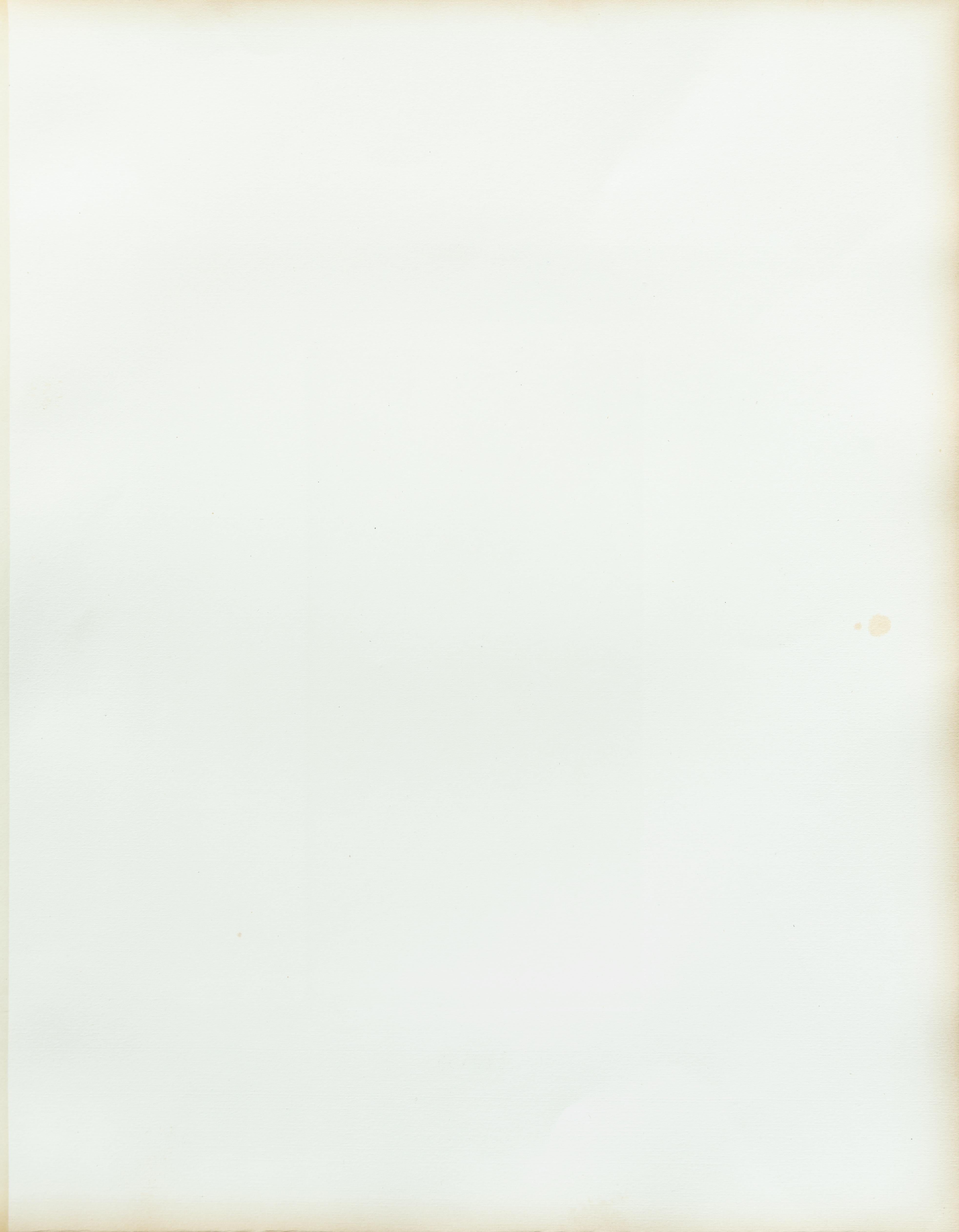 Dieser Vintage-Salzdruck ist auf der Vorderseite des Passepartouts mit einem Titel, einer Zuschreibung und einem Kommentar versehen. 