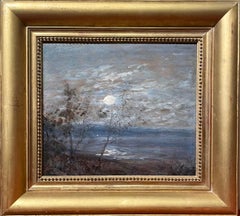 Moonlight landscape, View of the bay of Nice from Saint Helene