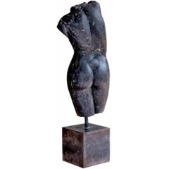 Female Bust, Roman Venus in Black Marble Early 20th Century