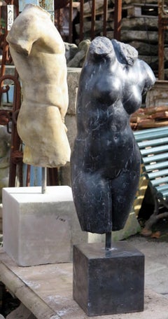 Female Bust, Roman Venus in Black Marble, Early 20th Century