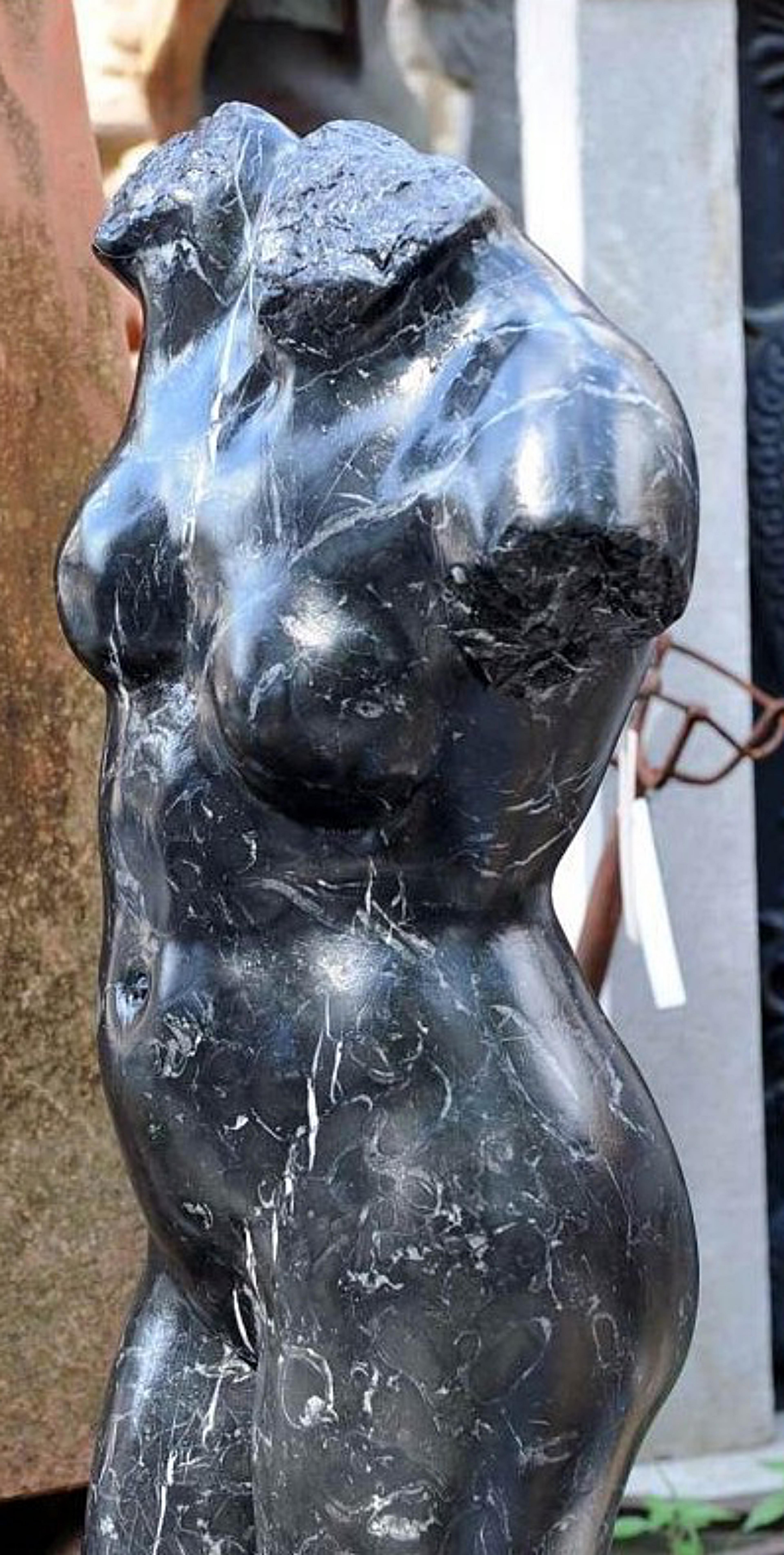 Italian Female Bust, Roman Venus in Black Marble, Early 20th Century For Sale