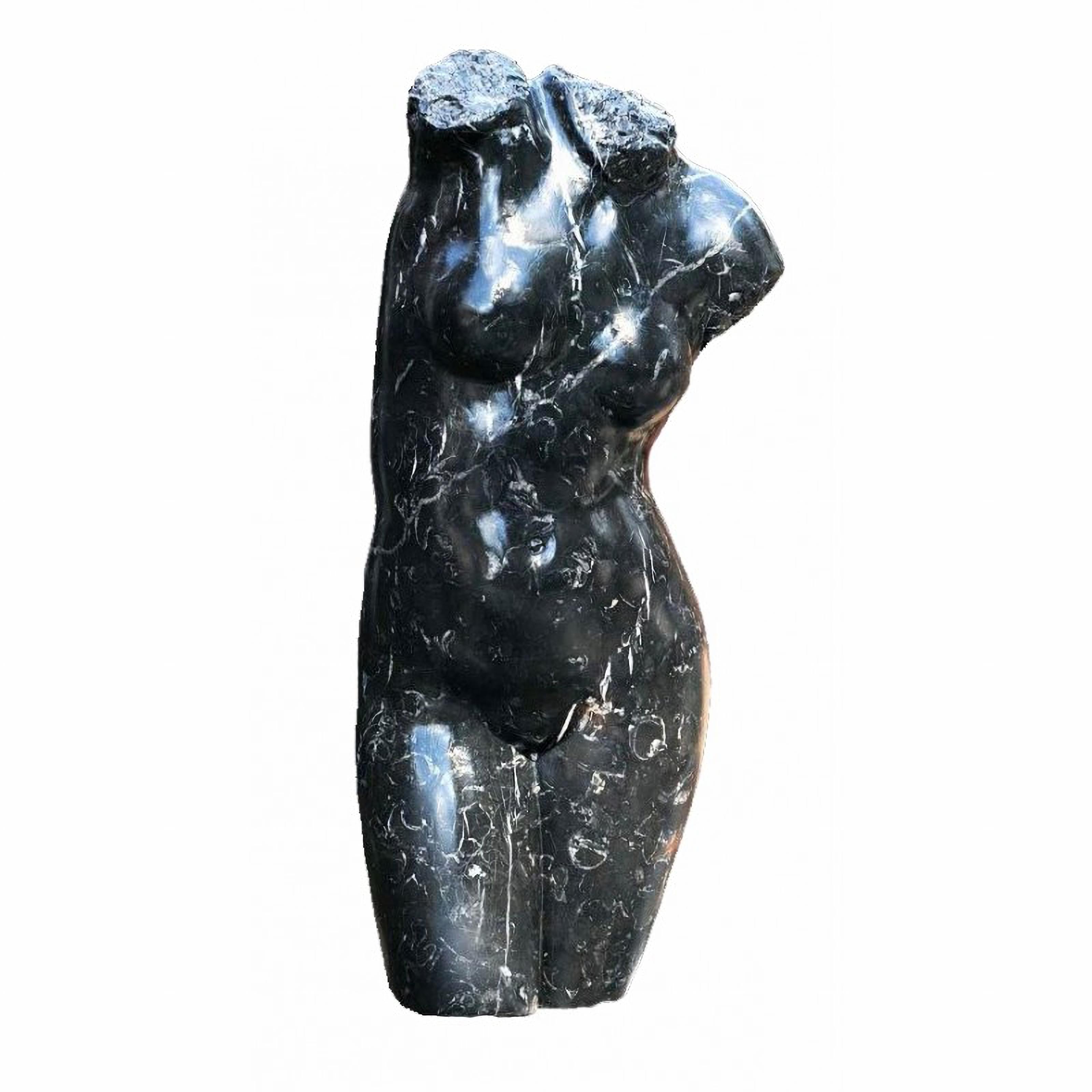 20ième siècle Buste de femme, Vénus romaine en marbre noir, début du 20e siècle en vente