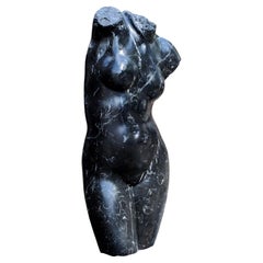 Female Bust, Roman Venus in Black Marble Early 20th Century