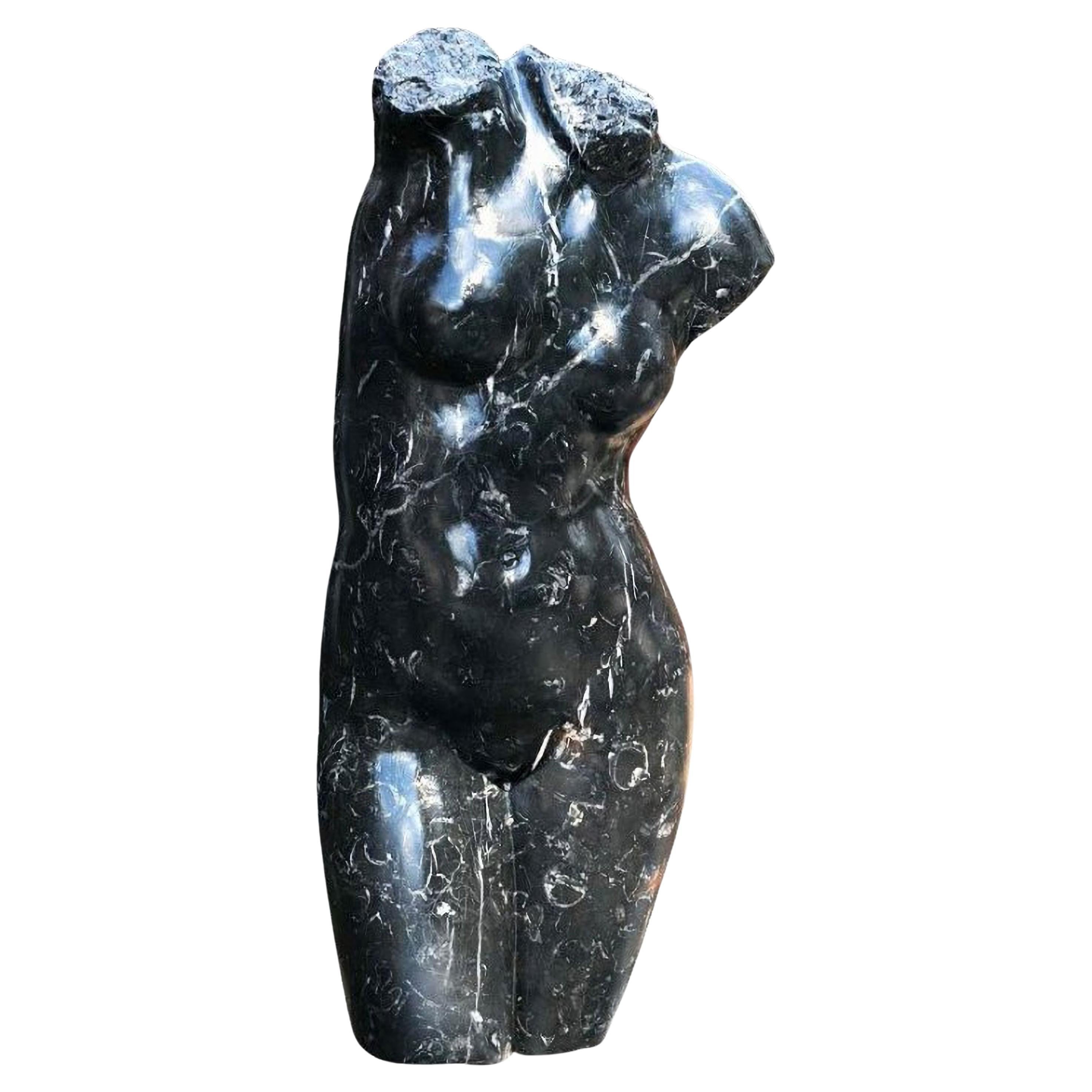 Female Bust, Roman Venus in Black Marble, Early 20th Century For Sale
