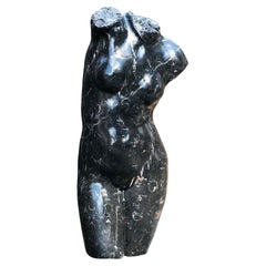 Antique Female Bust, Roman Venus in Black Marble, Early 20th Century