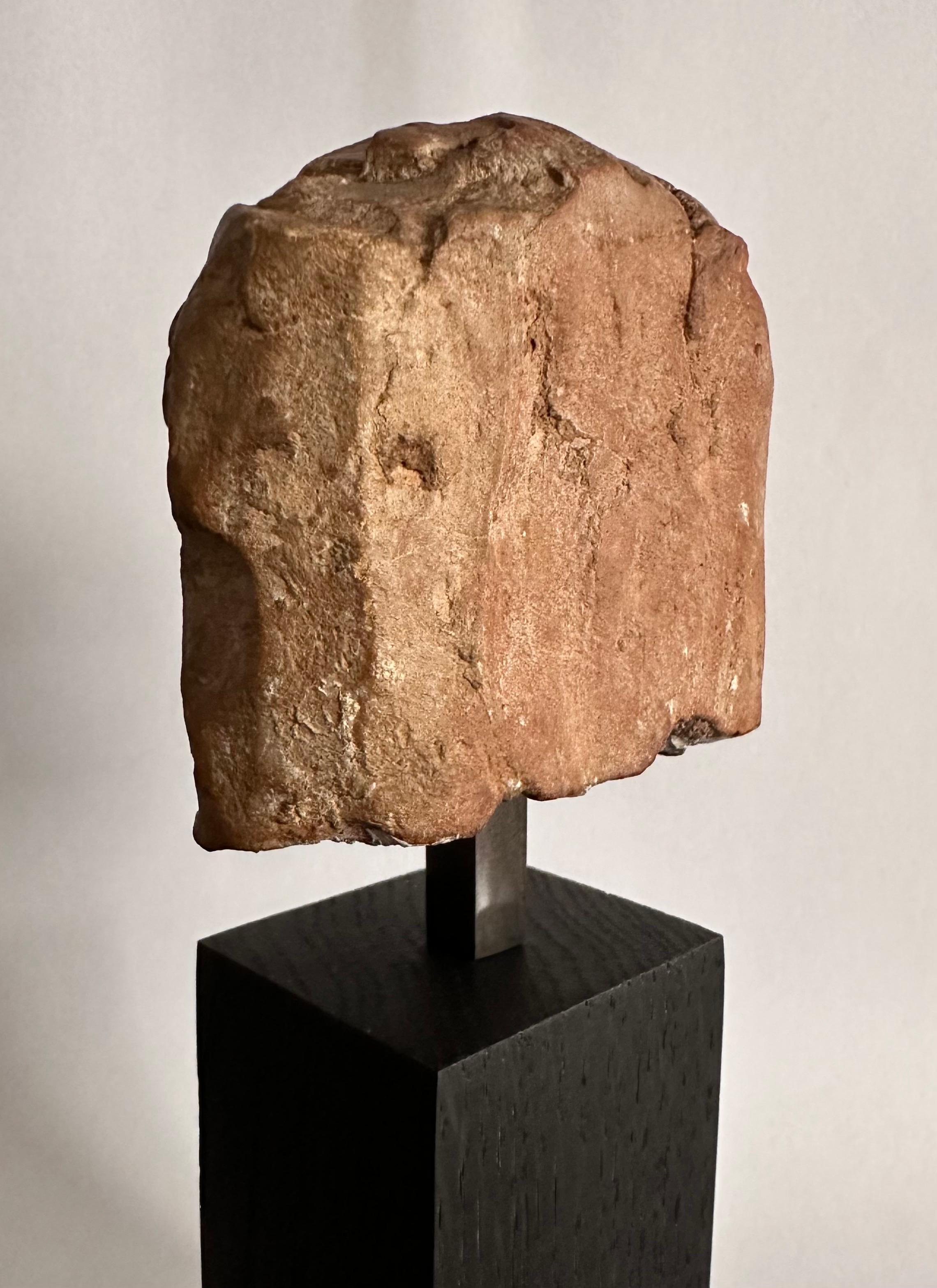 Female Head, Terracotta, Magna Graecia, 4th Century Before Christ 4