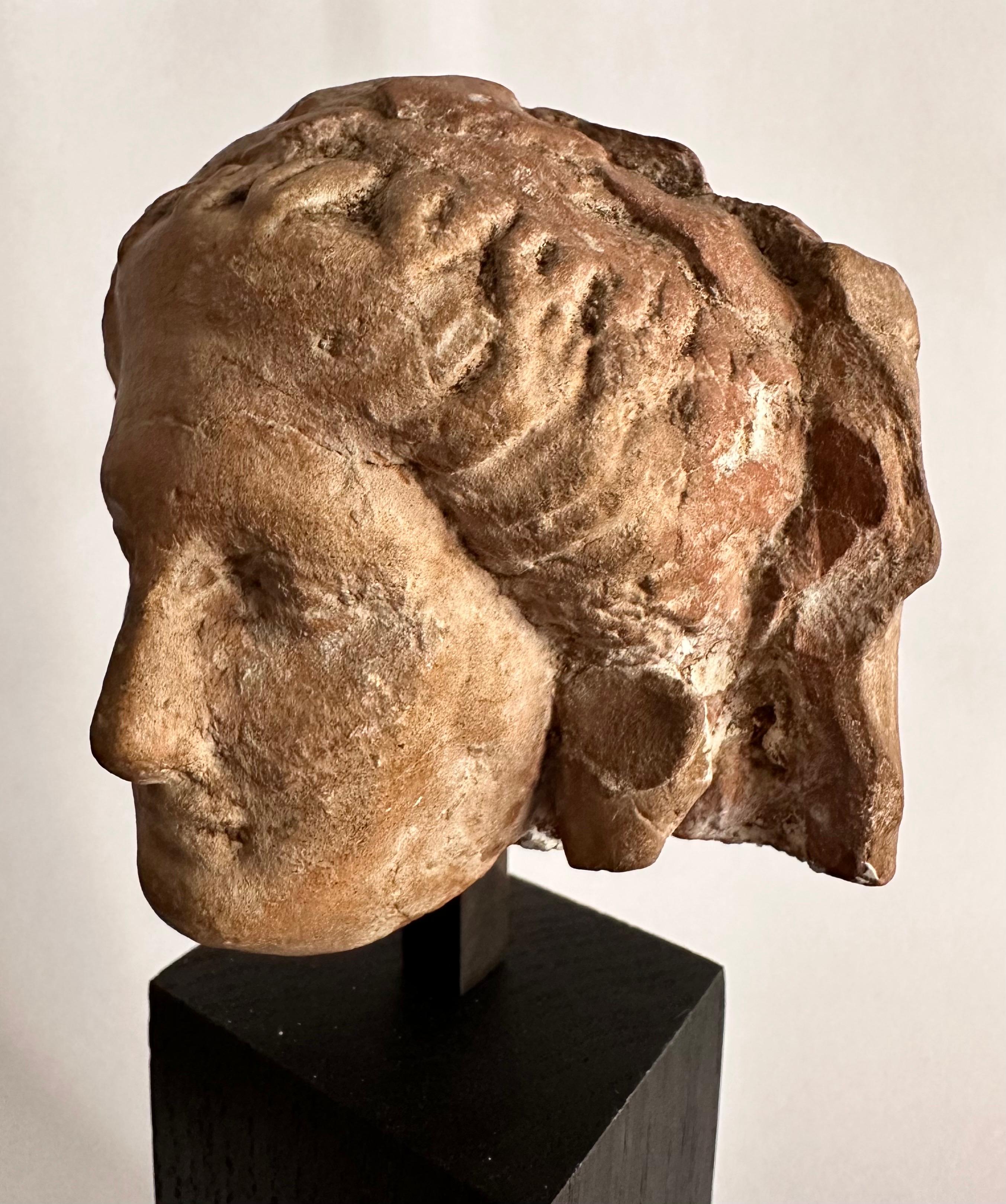 Female Head, Terracotta, Magna Graecia, 4th Century Before Christ 7