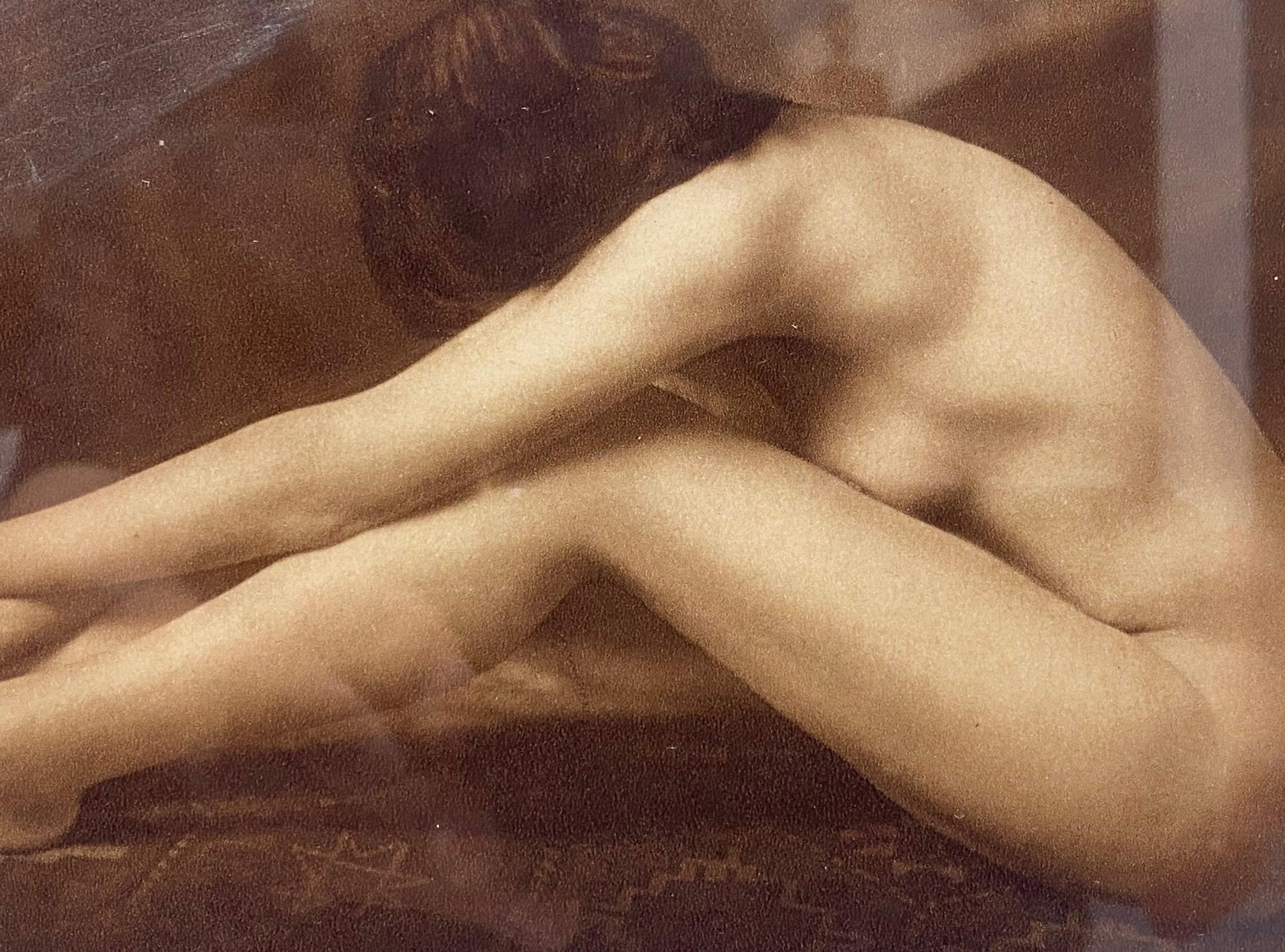 Legno Fotografia di nudo femminile in bianco e nero color seppia alla maniera di Ruth Bernhard in vendita